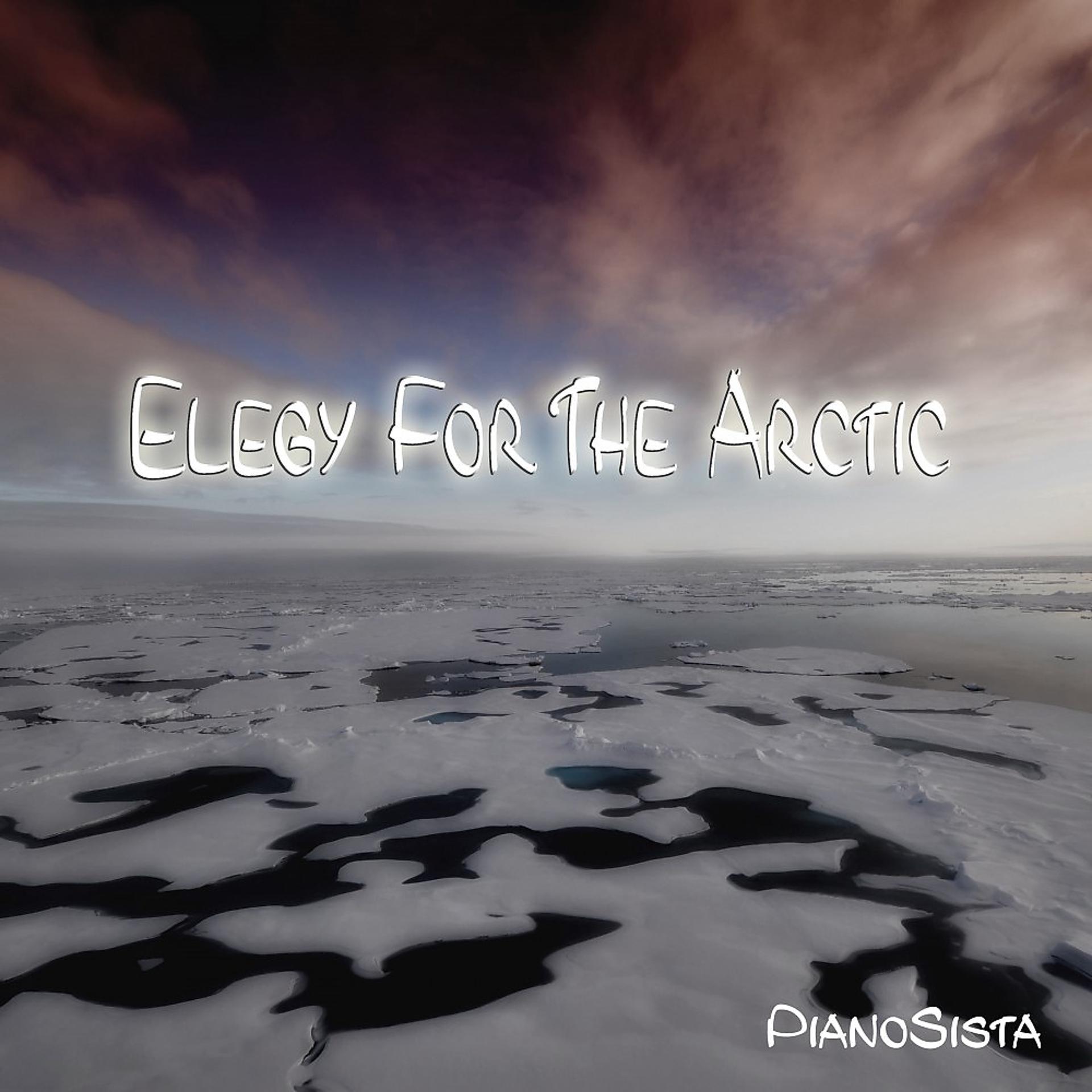 Постер альбома Elegy for the Arctic