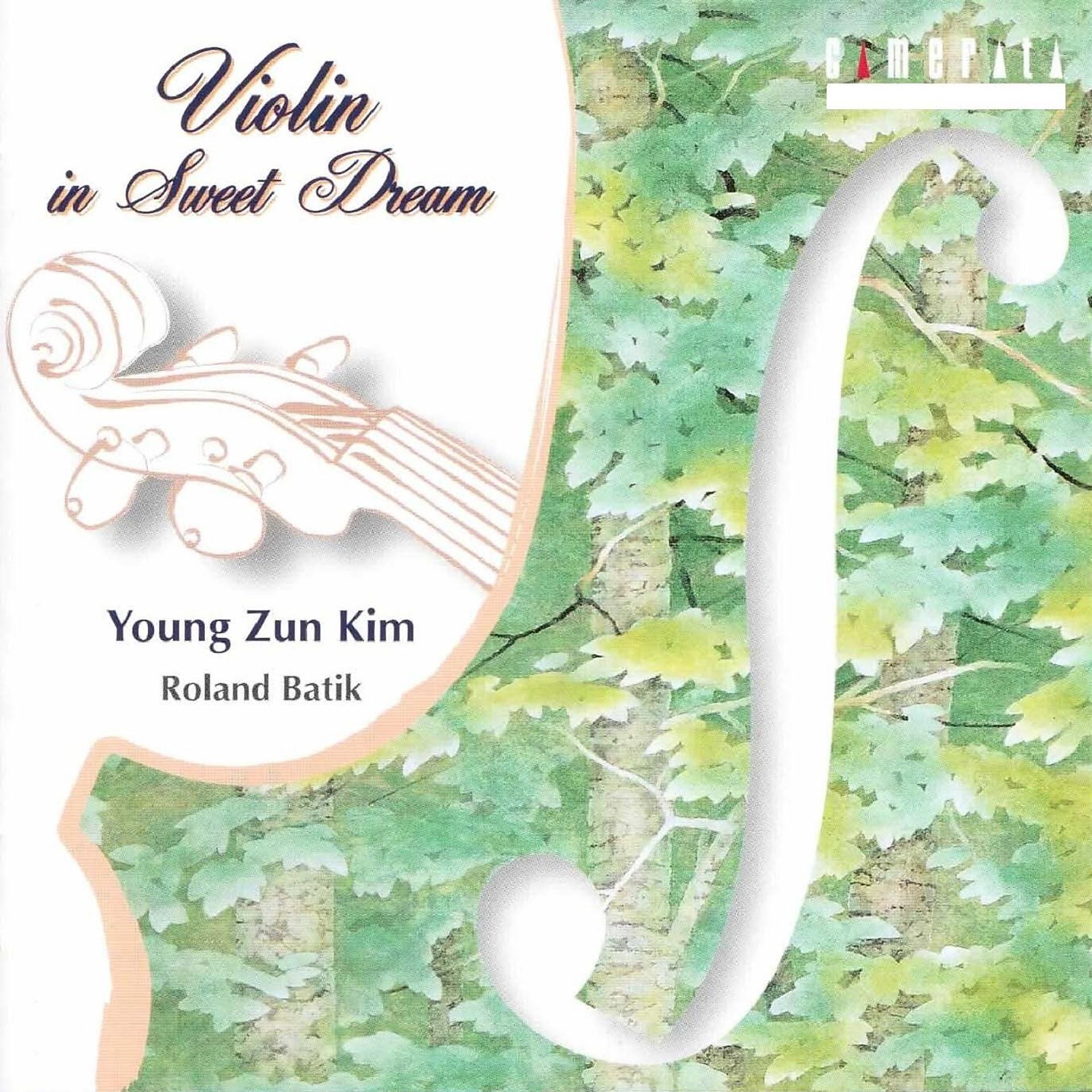 Постер альбома Violin in Sweet Dream