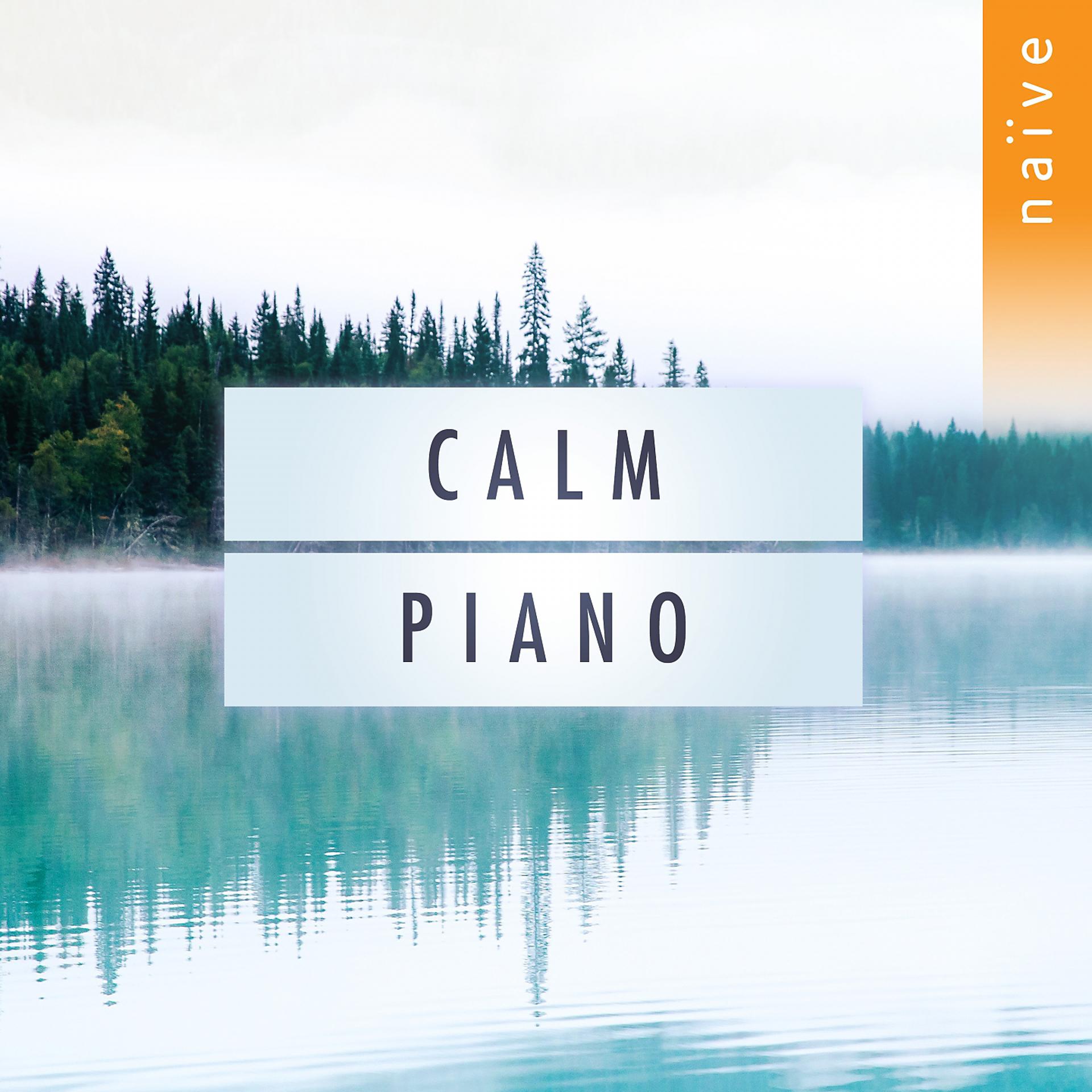 Постер альбома Calm Piano