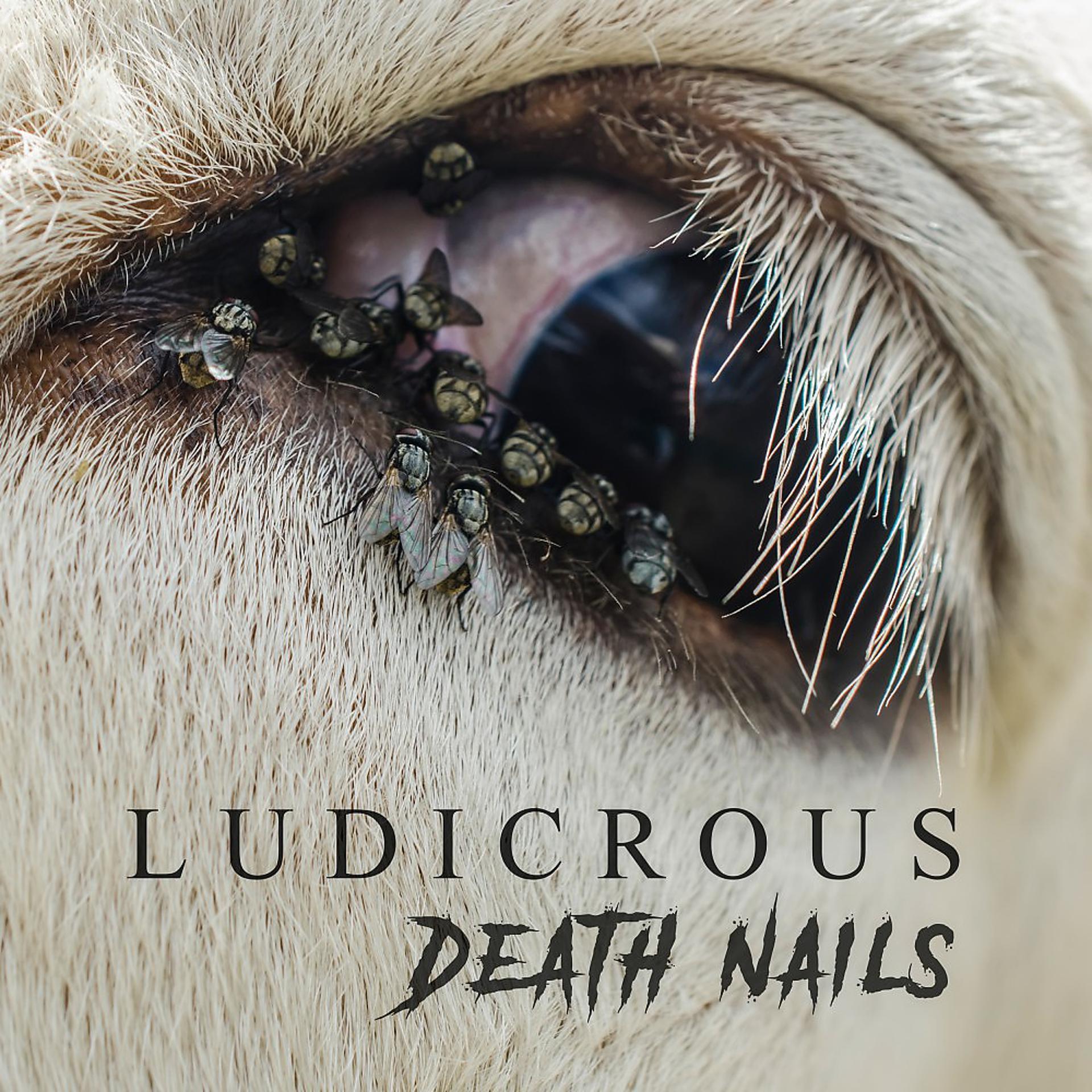 Постер альбома Death Nails