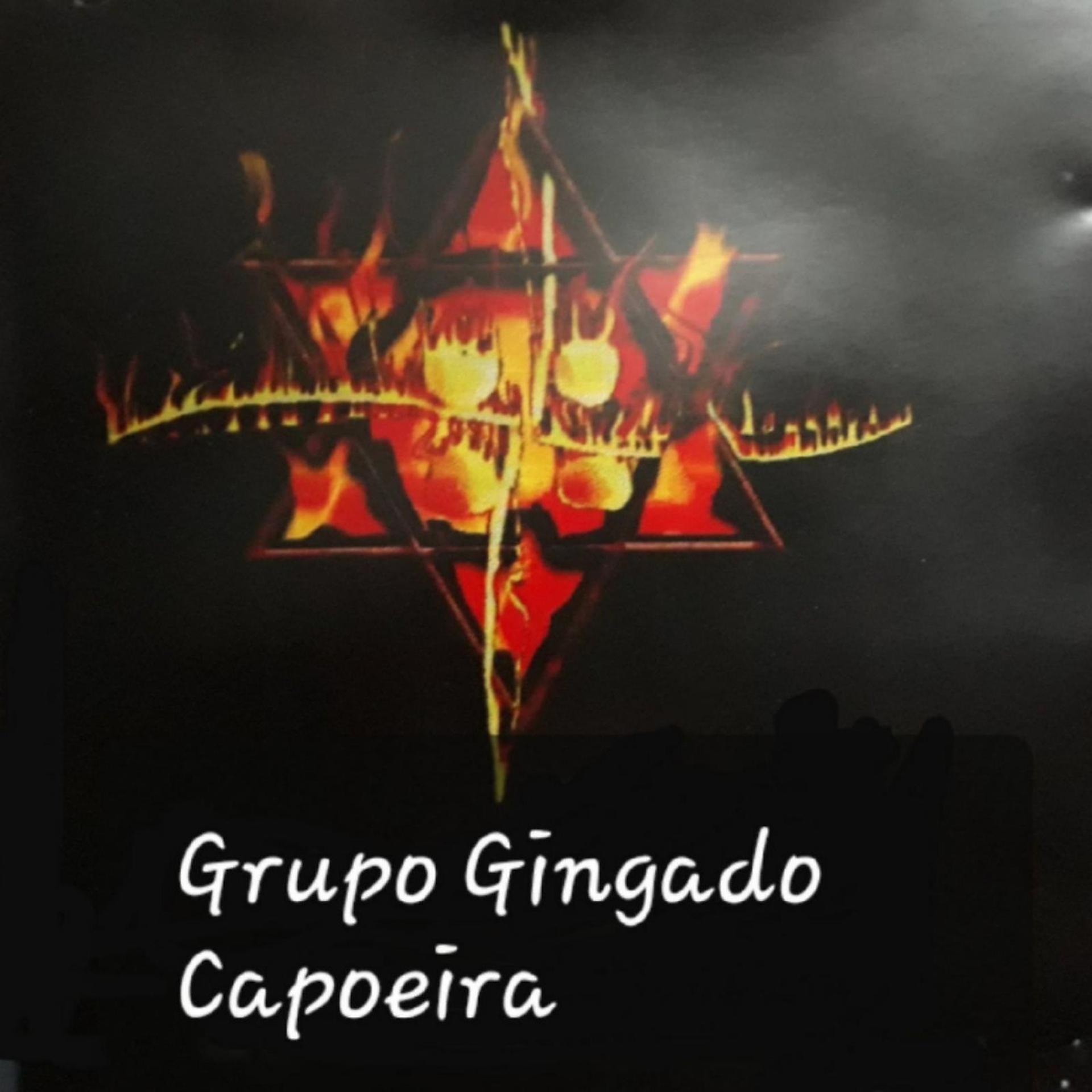 Постер альбома Grupo Gingado Capoeira