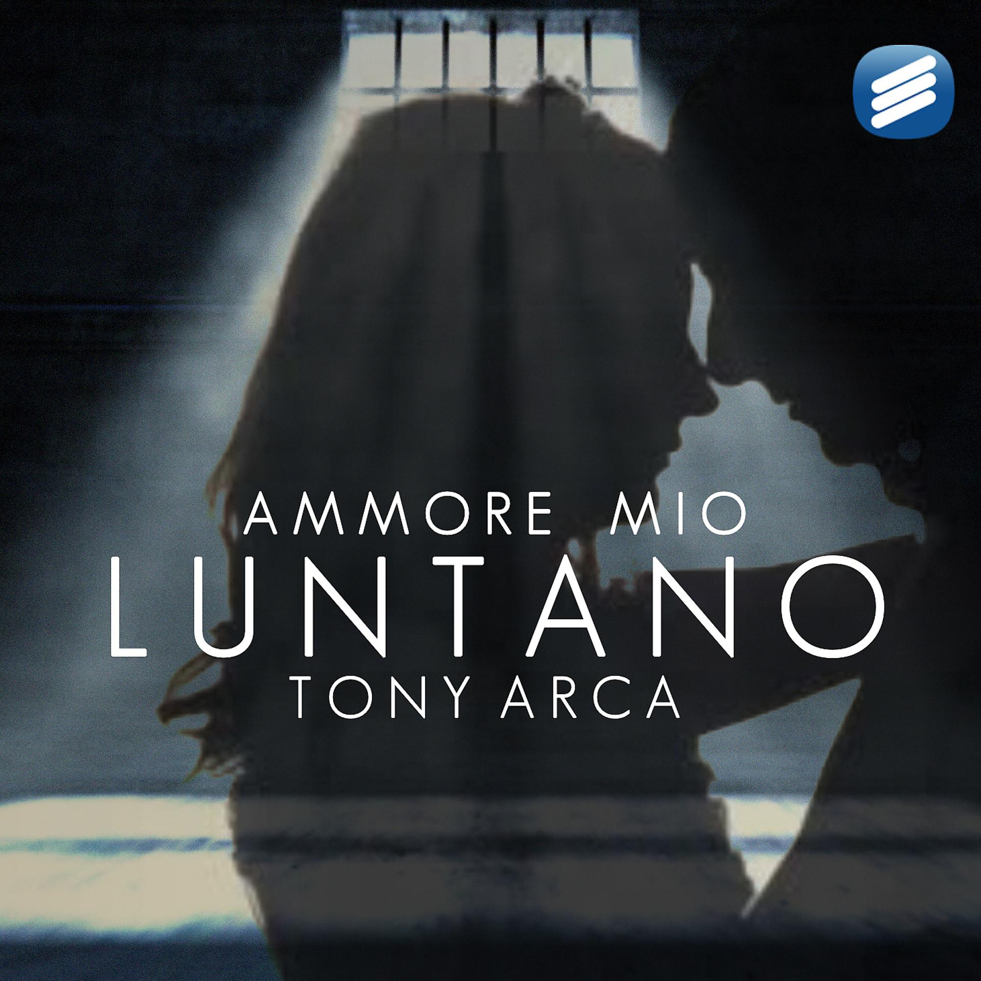 Постер альбома Ammore mio luntano