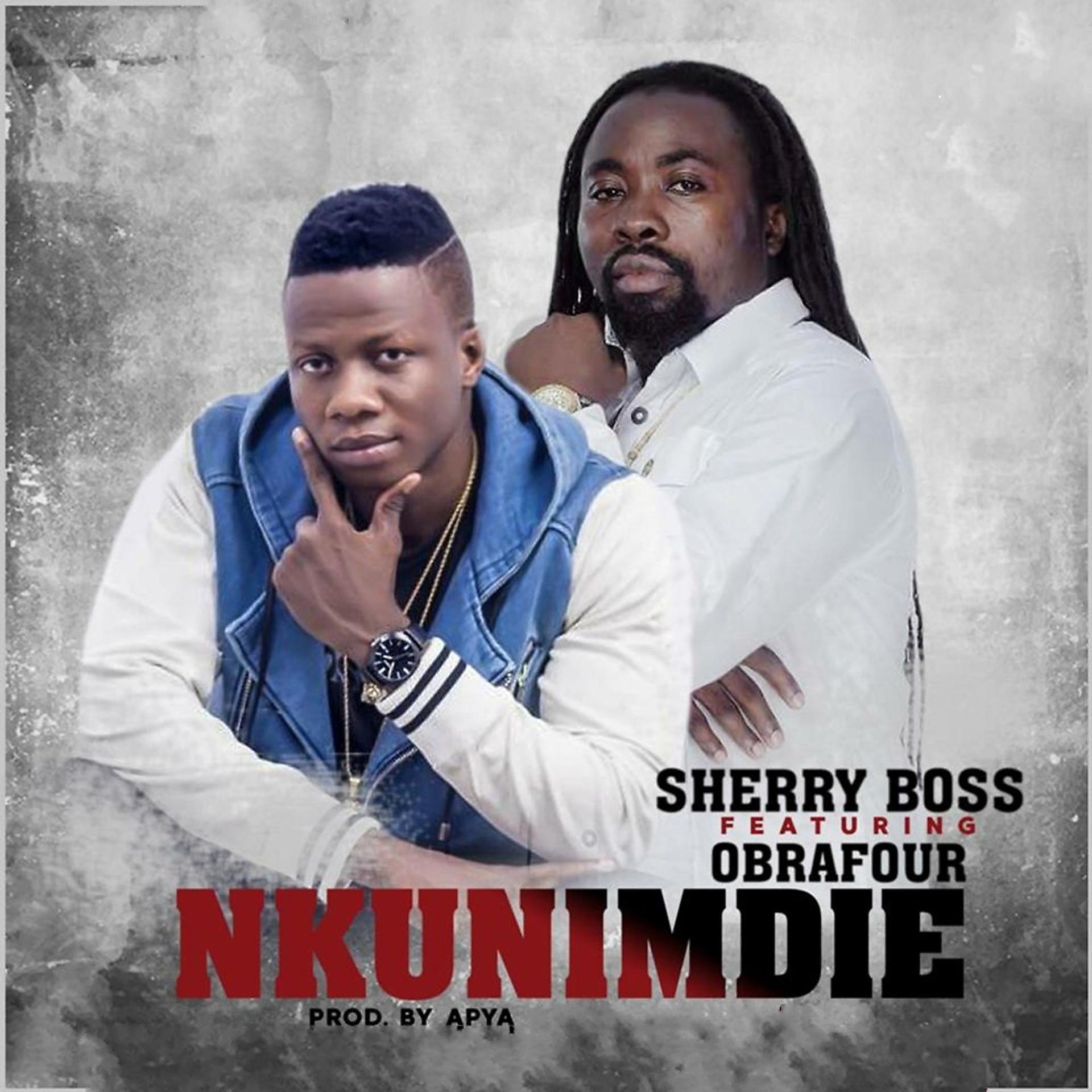 Постер альбома Nkunimdie