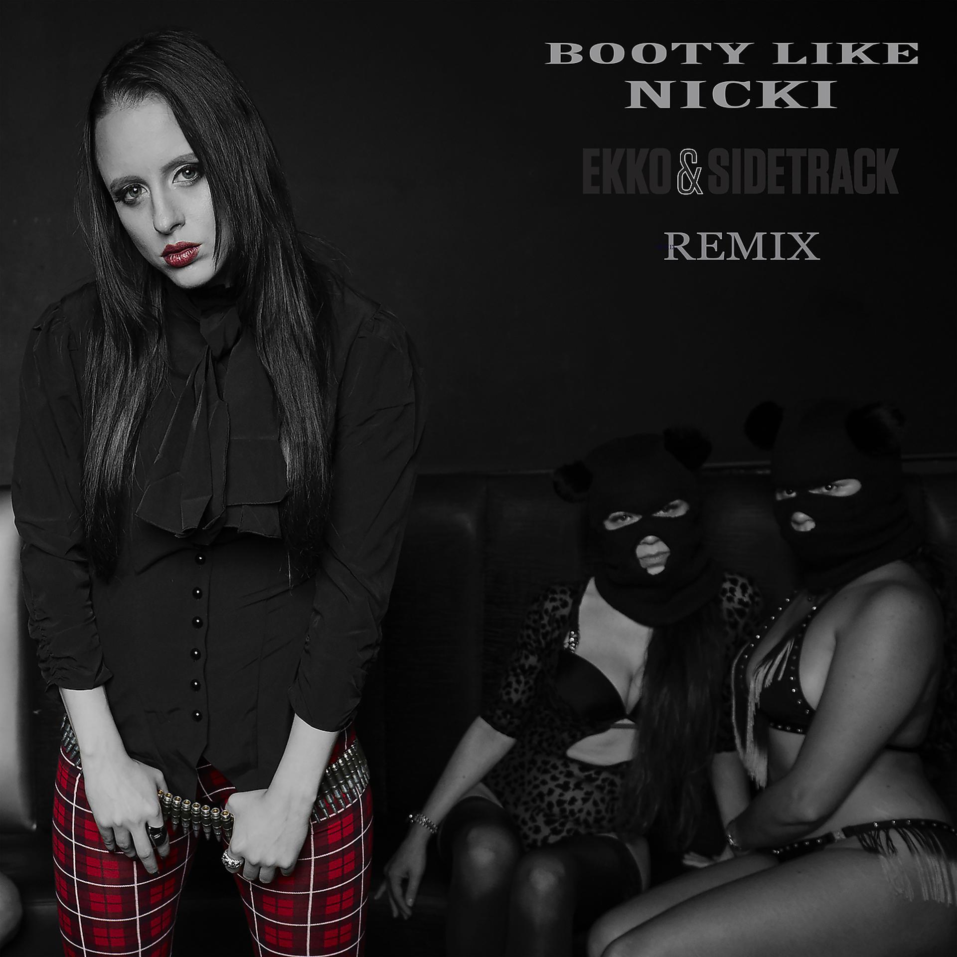 Постер альбома Booty Like Nicki