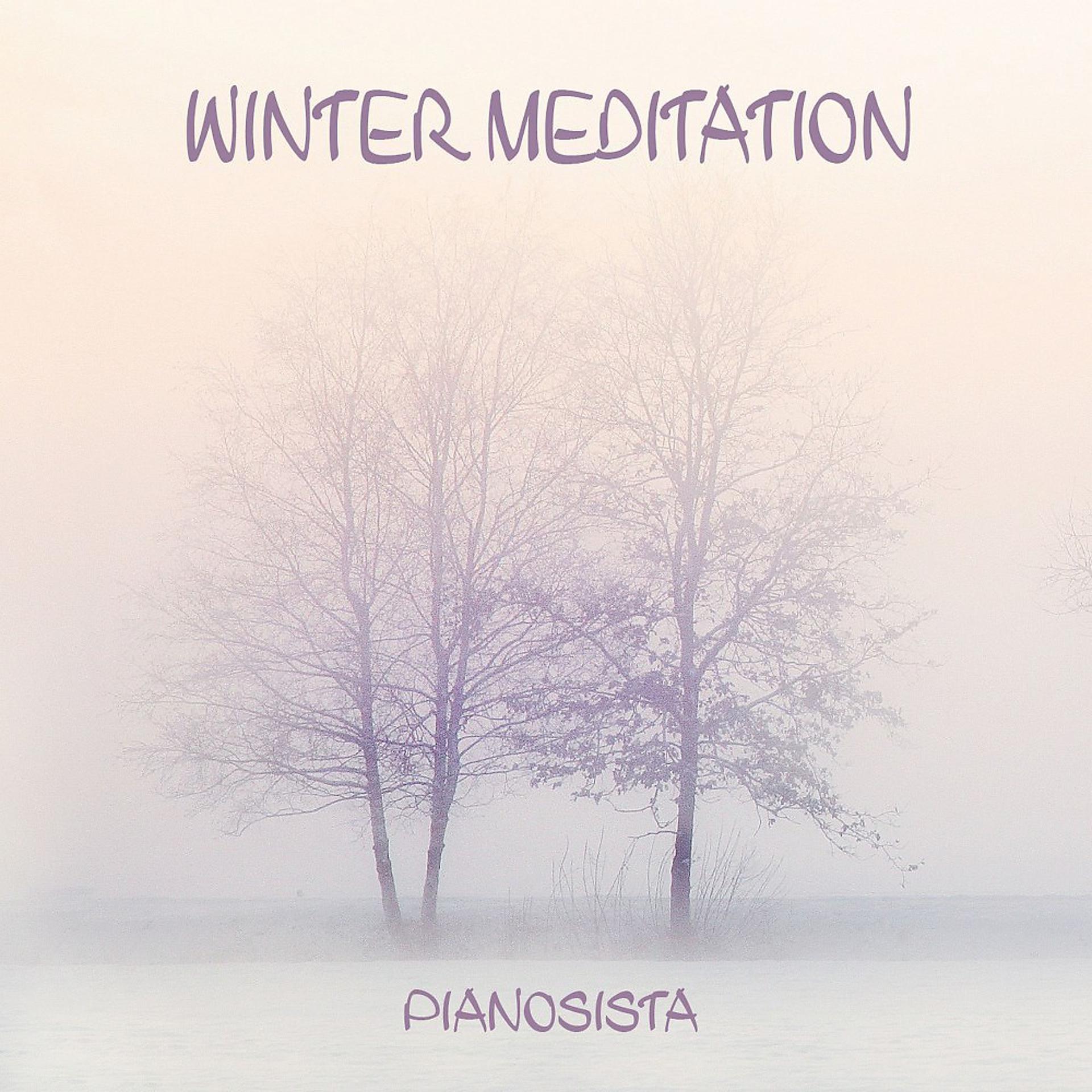 Постер альбома Winter Meditation