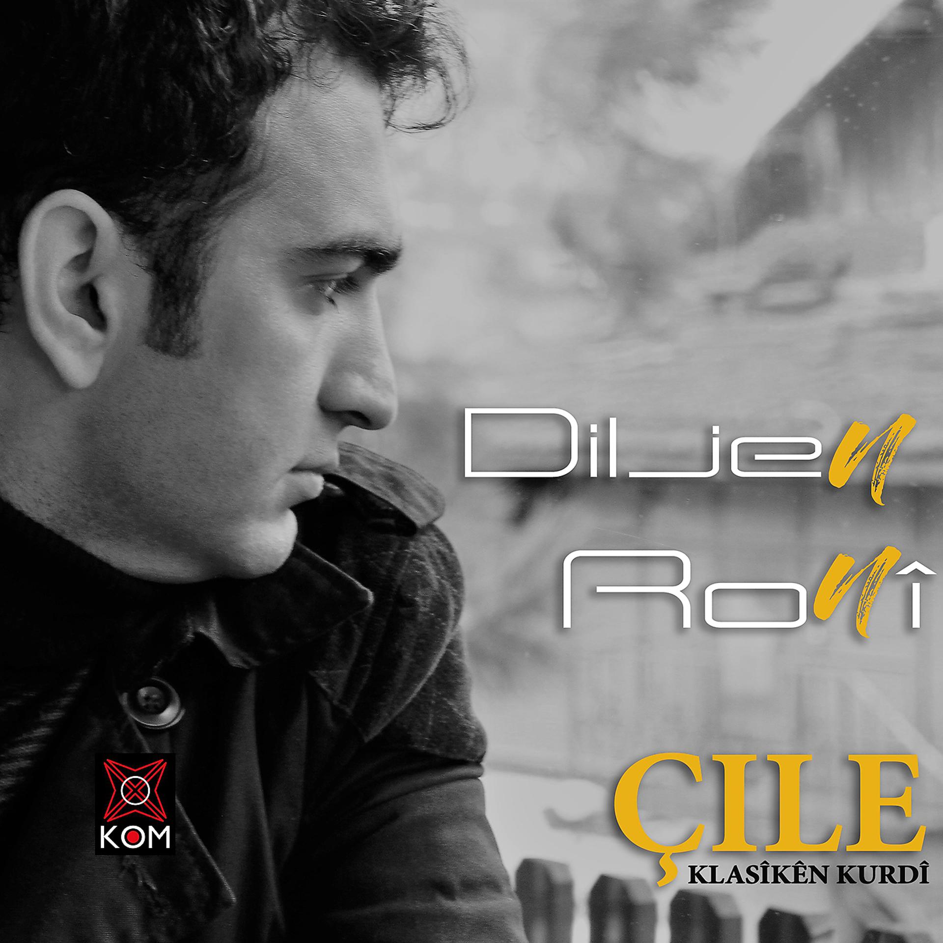 Постер альбома Çile