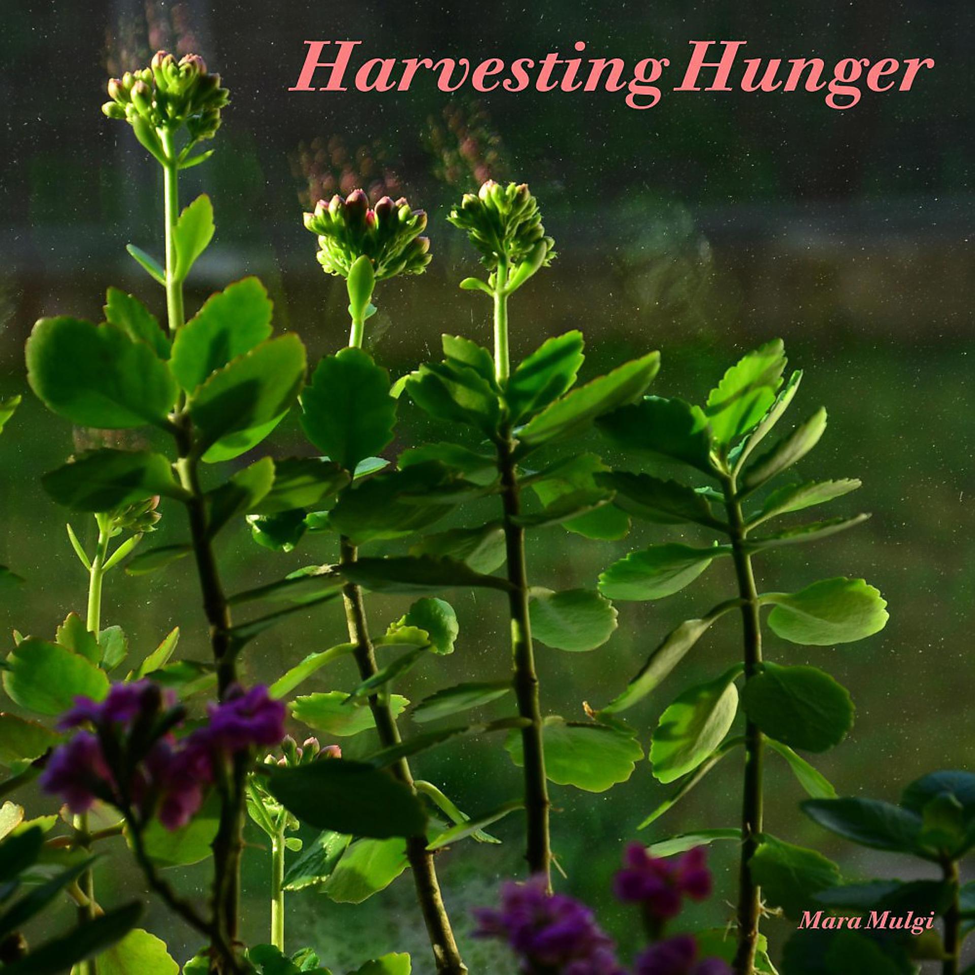Постер альбома Harvesting Hunger