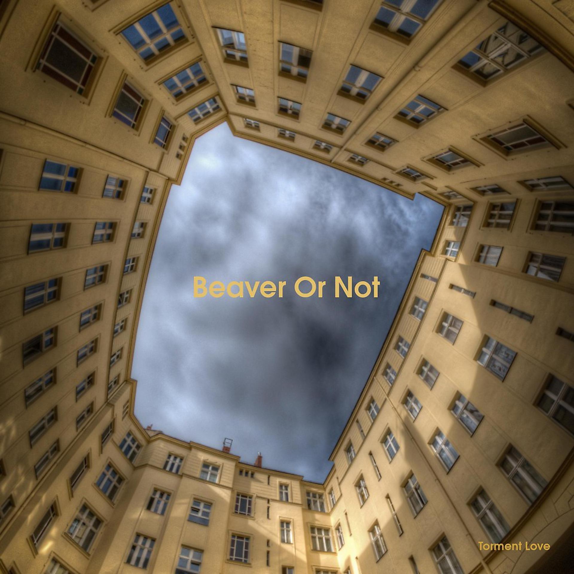 Постер альбома Beaver or Not