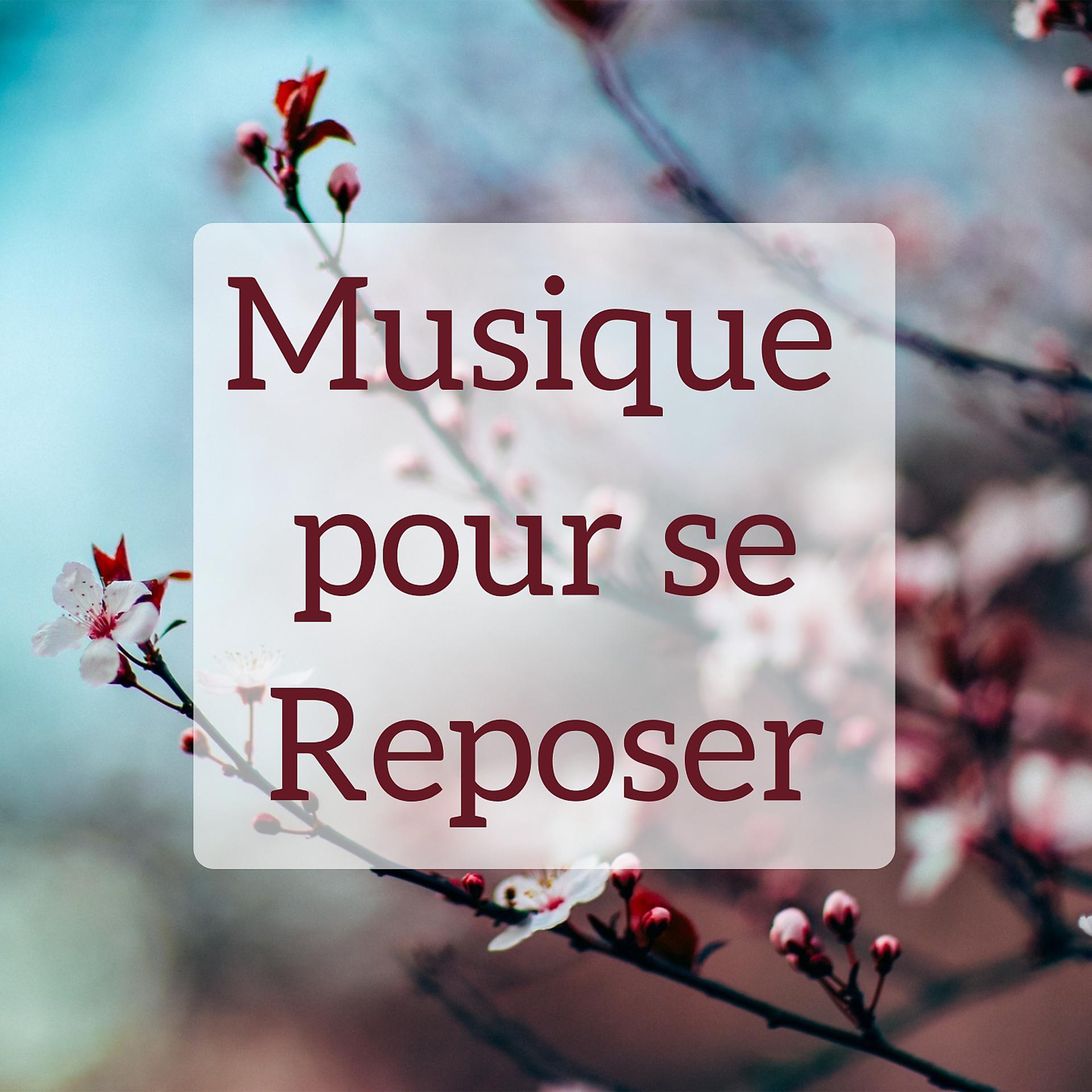 Постер альбома Musique pour se reposer