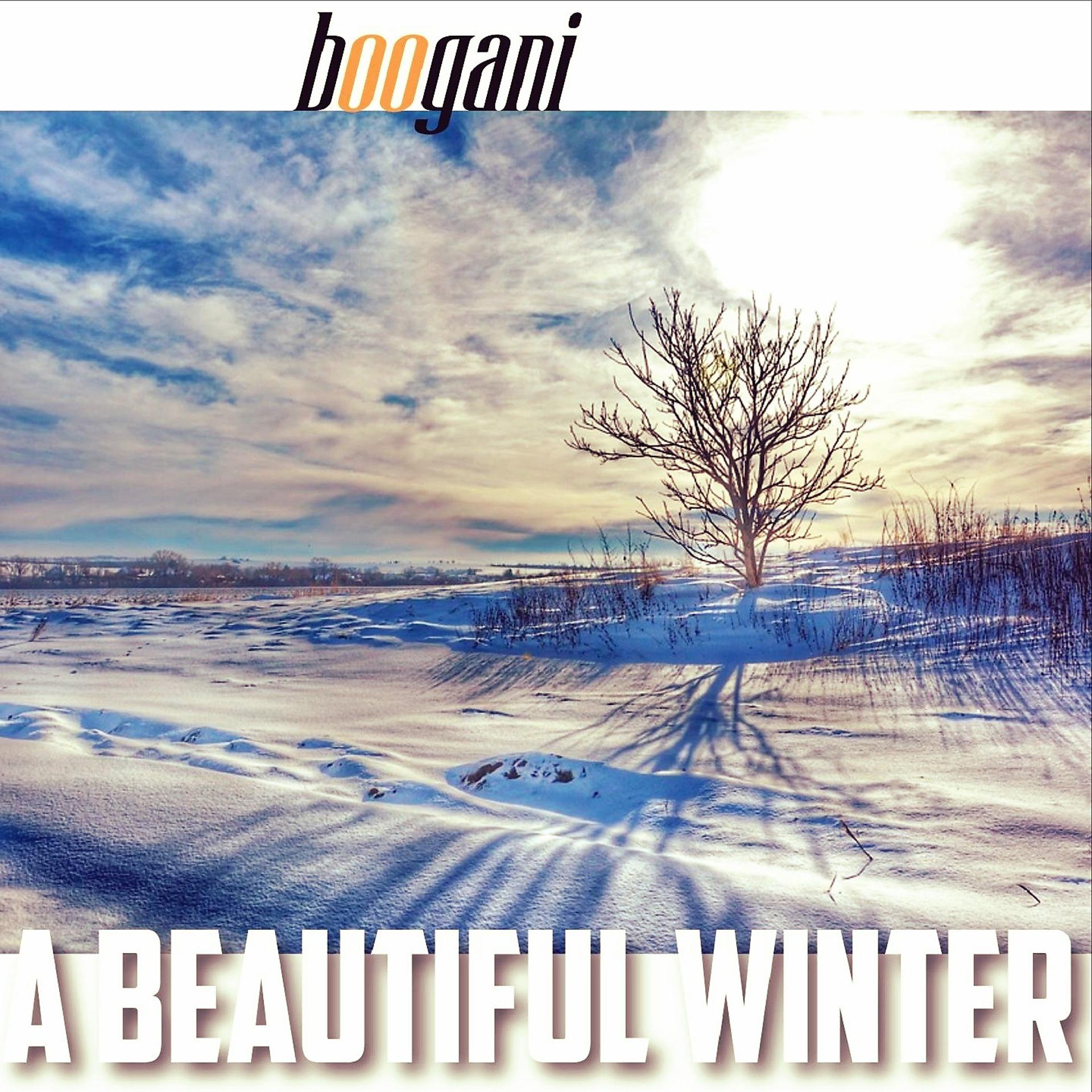 Постер альбома A Beautiful Winter