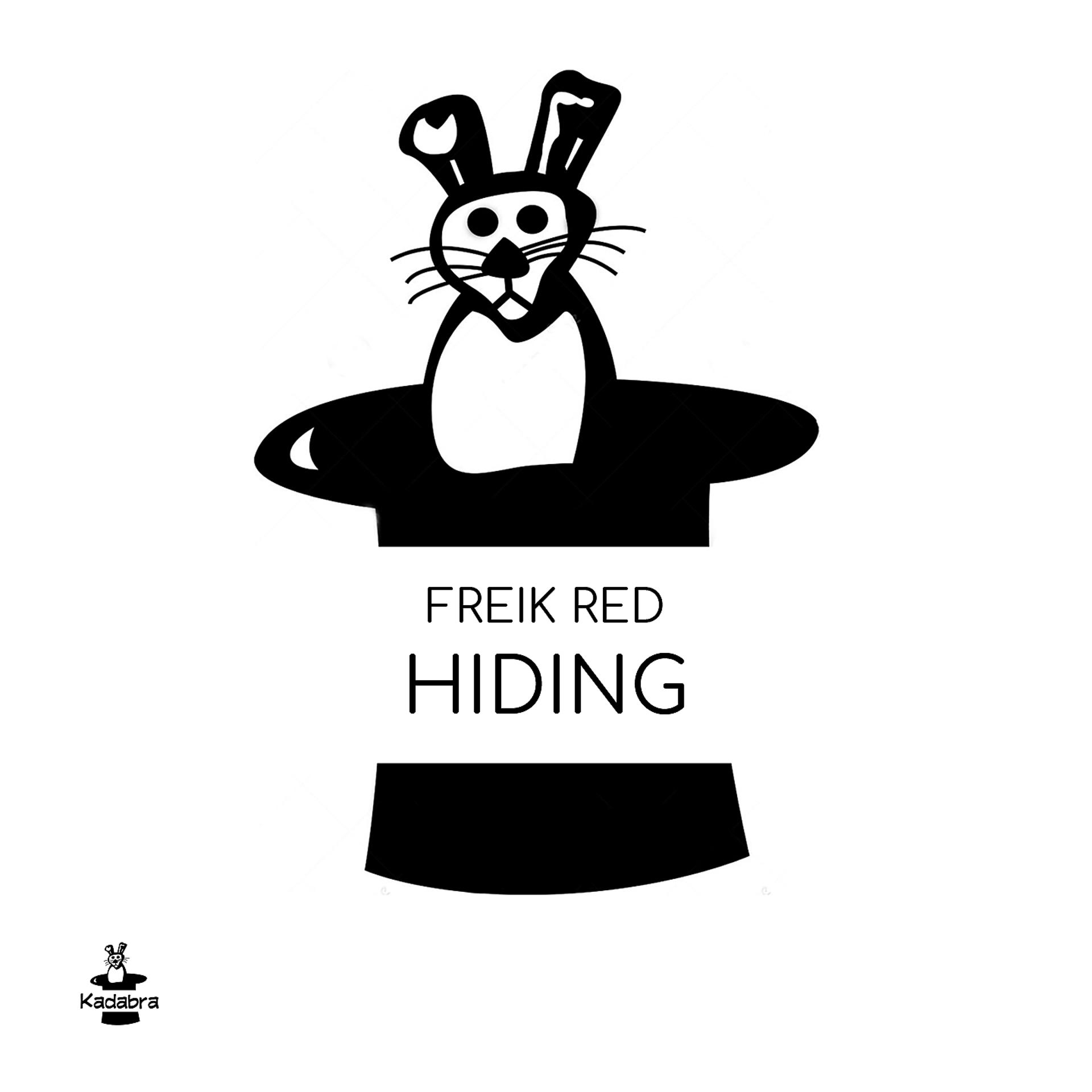 Постер альбома Hiding