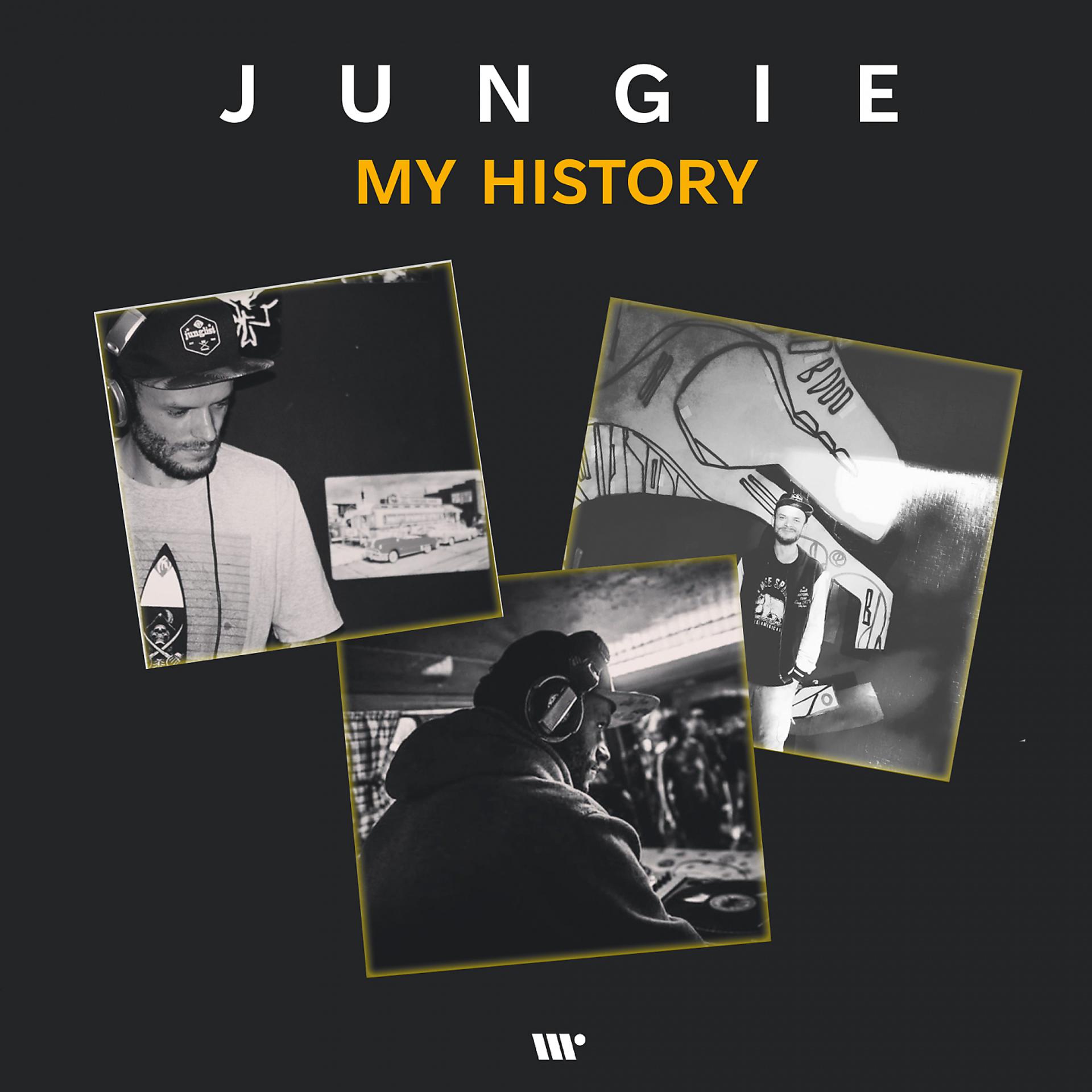 Постер альбома My History: Jungie