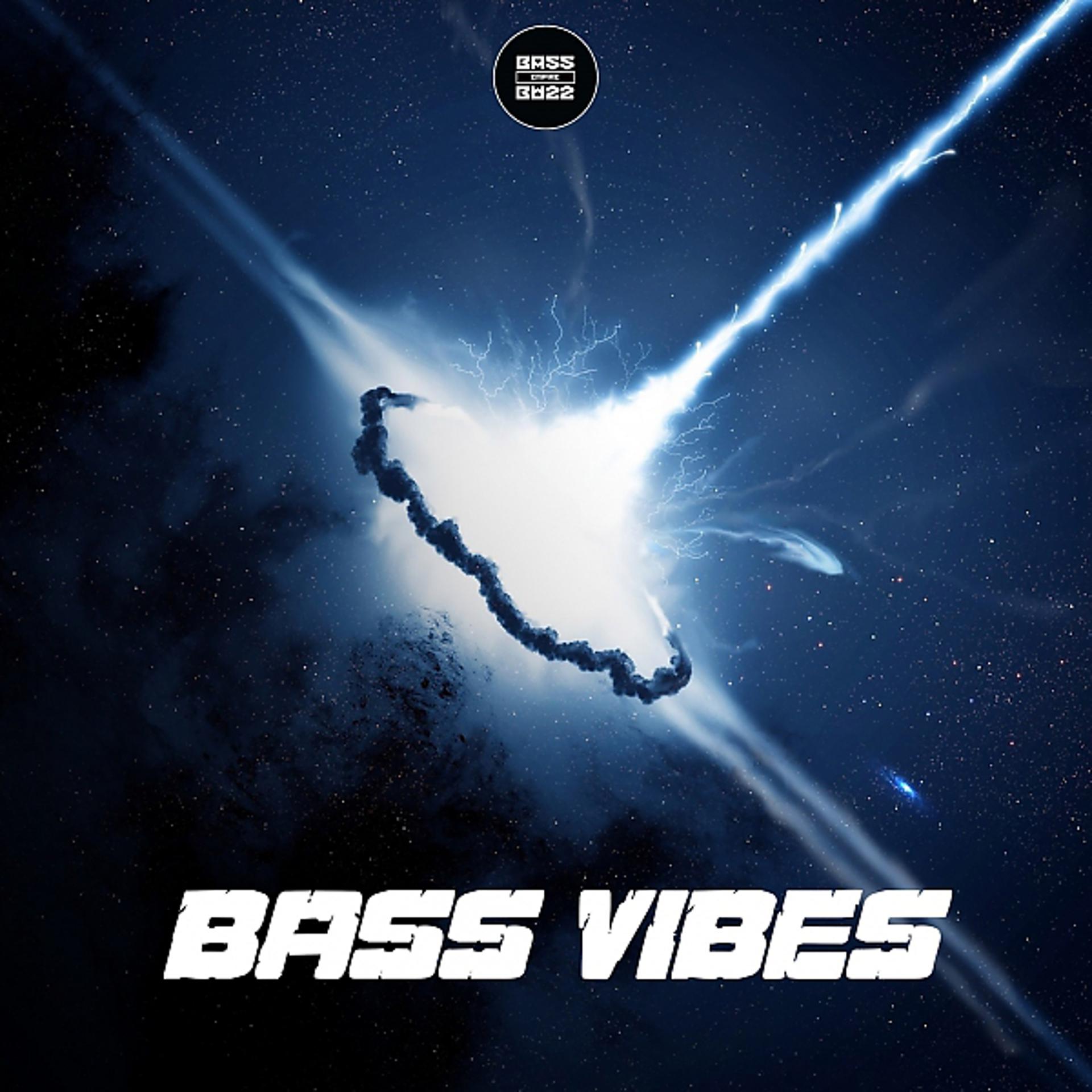 Постер альбома Bass Vibes