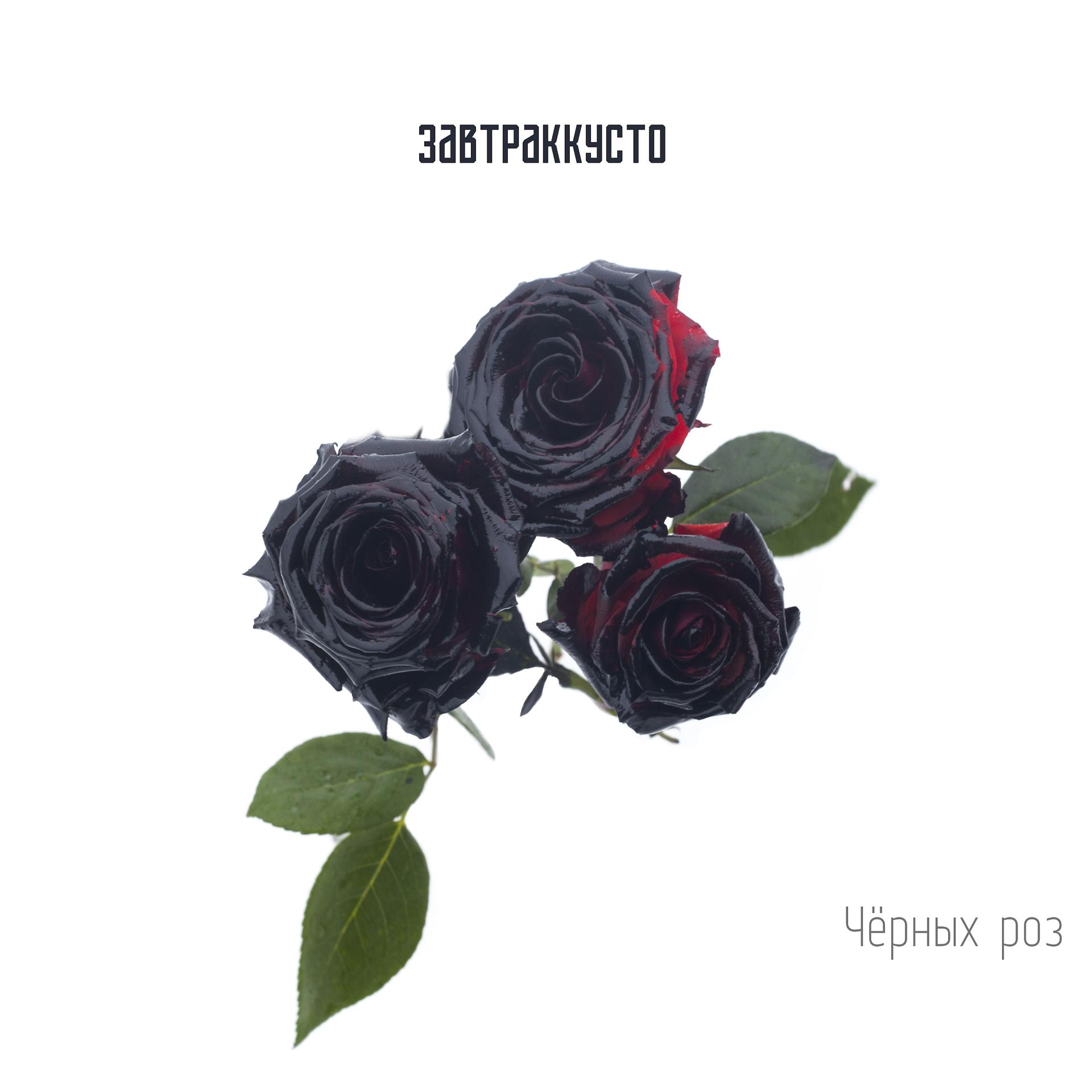 Постер альбома Чёрных роз