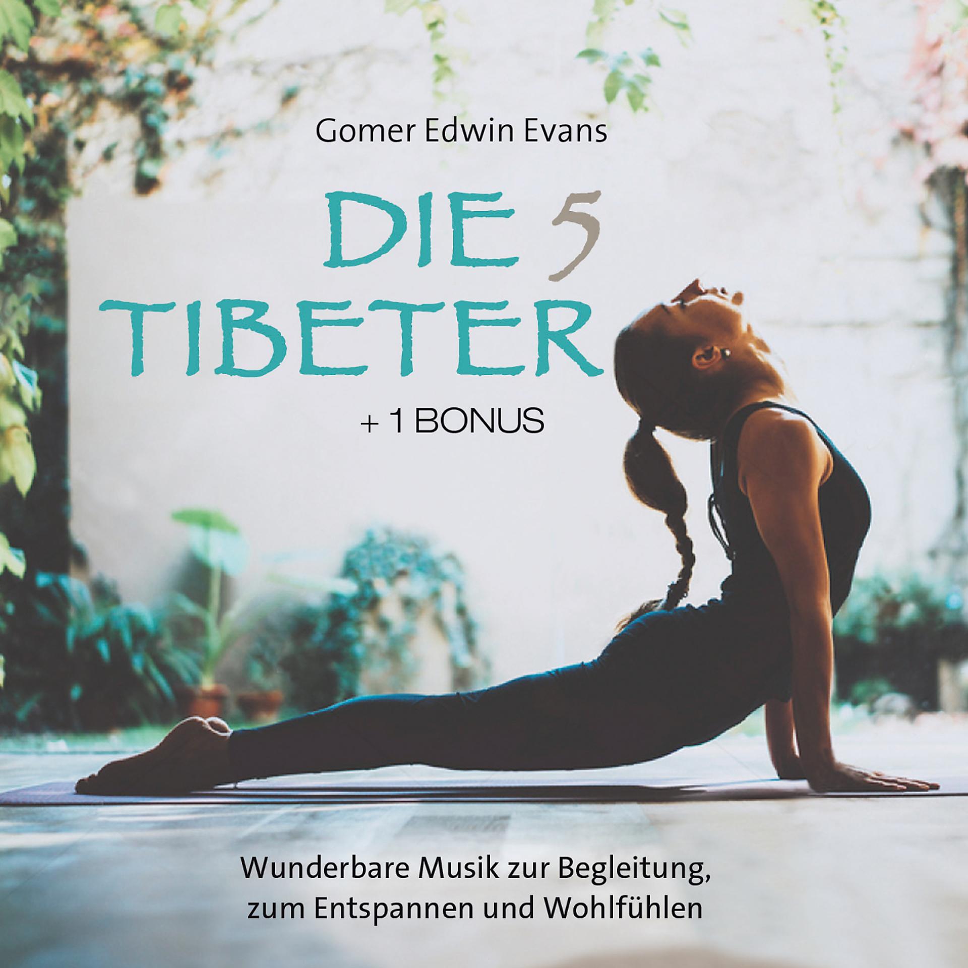 Постер альбома Die 5 Tibeter (+1 Bonus)