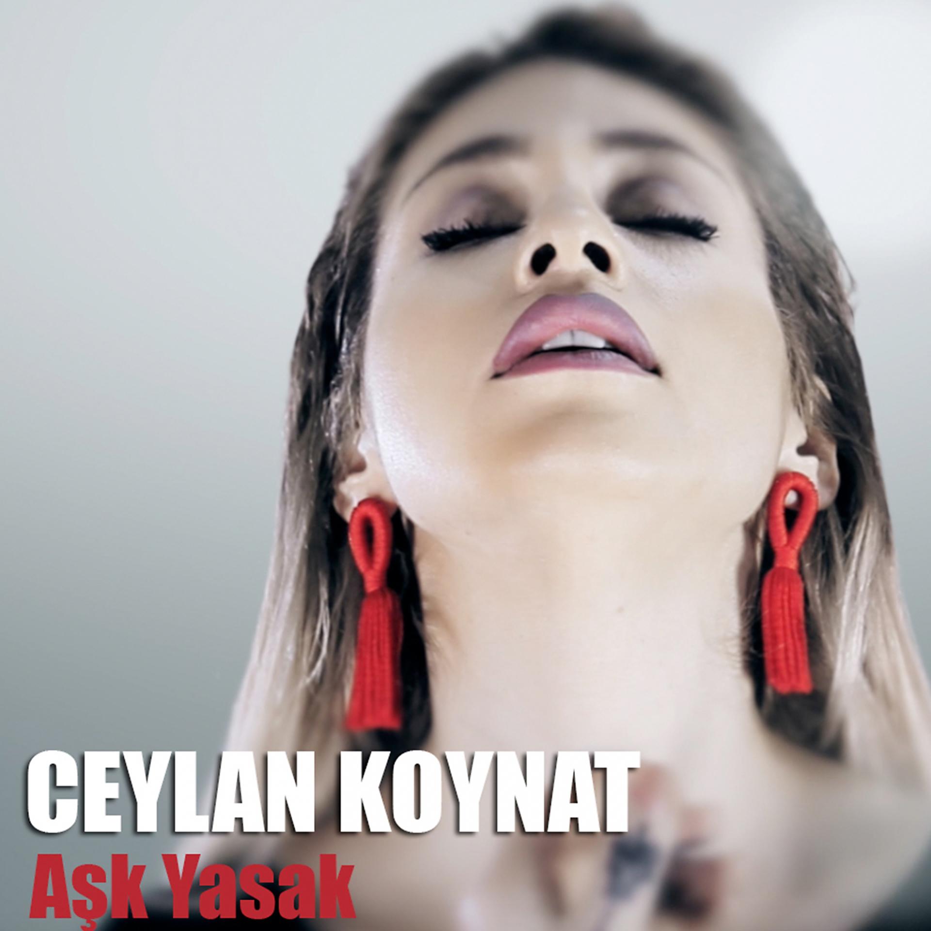 Постер альбома Aşk Yasak