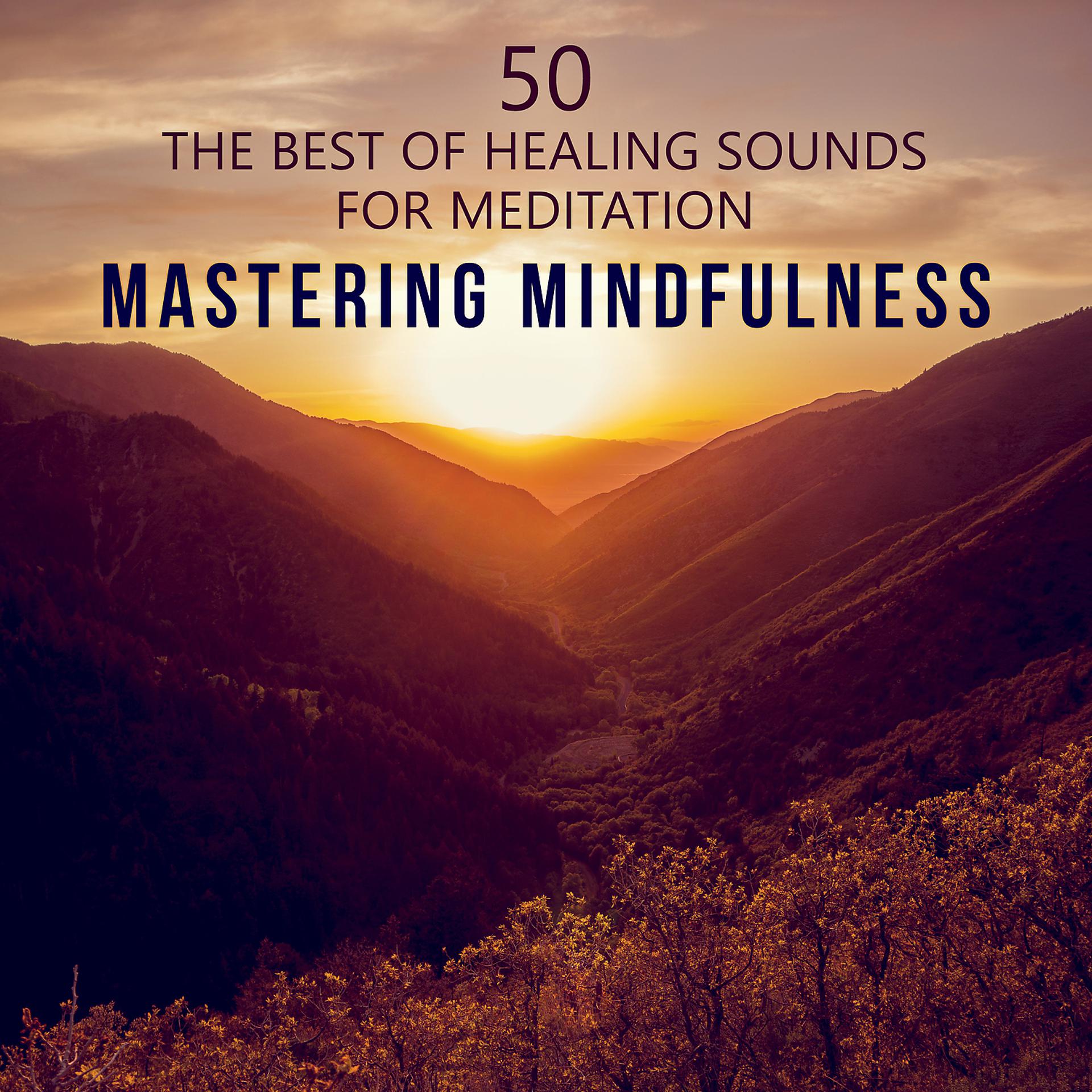 Постер альбома Mastering Mindfulness: 50 The Best of Healing Sounds - Therapy Music to Reduce Stress, Yoga, Find Inner Peace, Train Your Brain to Relax, Meditations to Quiet Your Mind