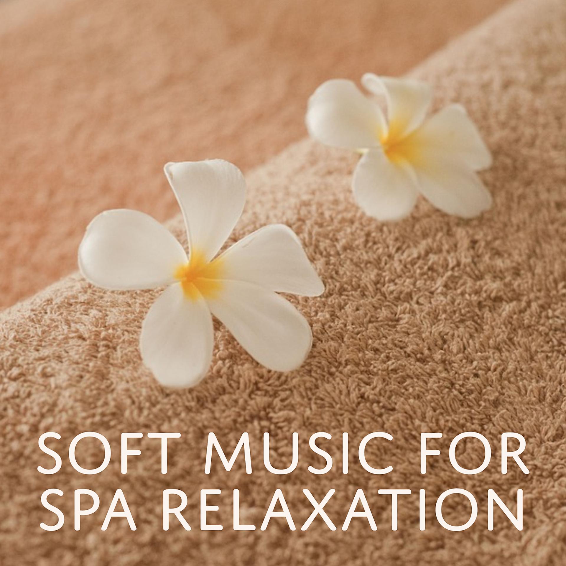 Постер альбома Soft Music for Spa Relaxation – Nature Music, Spa Massage, Relaxing Sounds, Sauna Time, Chill in Spa