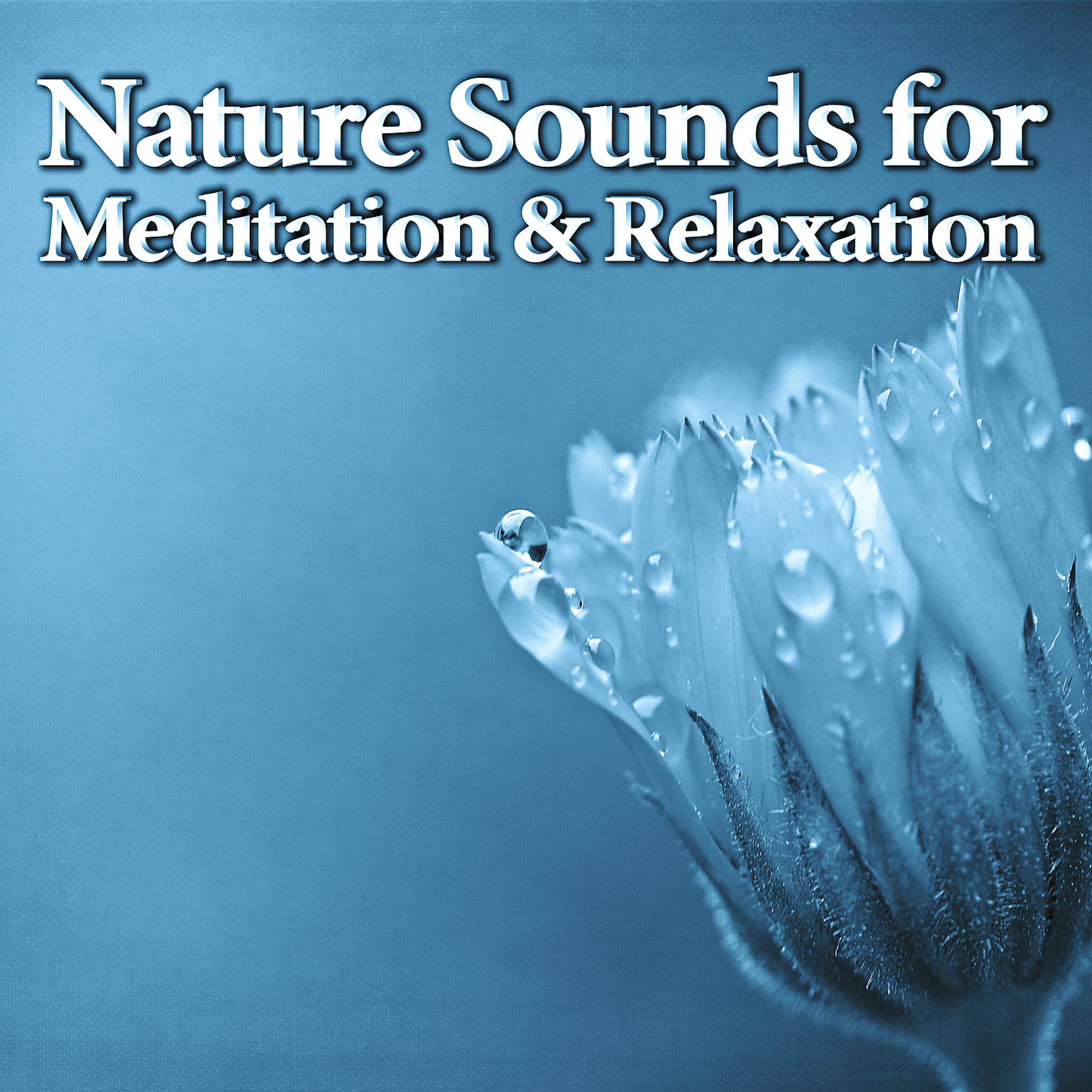 Постер альбома Nature Sounds for Meditation & Relaxation – New Age Music to Relax, Soft Nature Sounds, Meditation Awareness