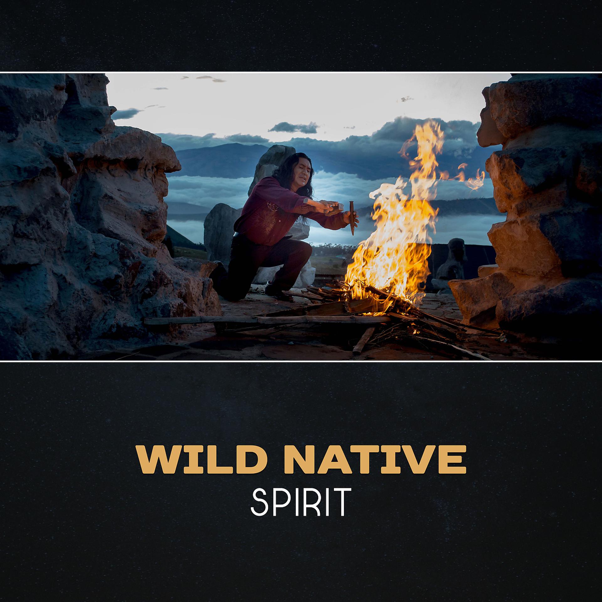 Постер альбома Wild Native Spirit: Last Indian
