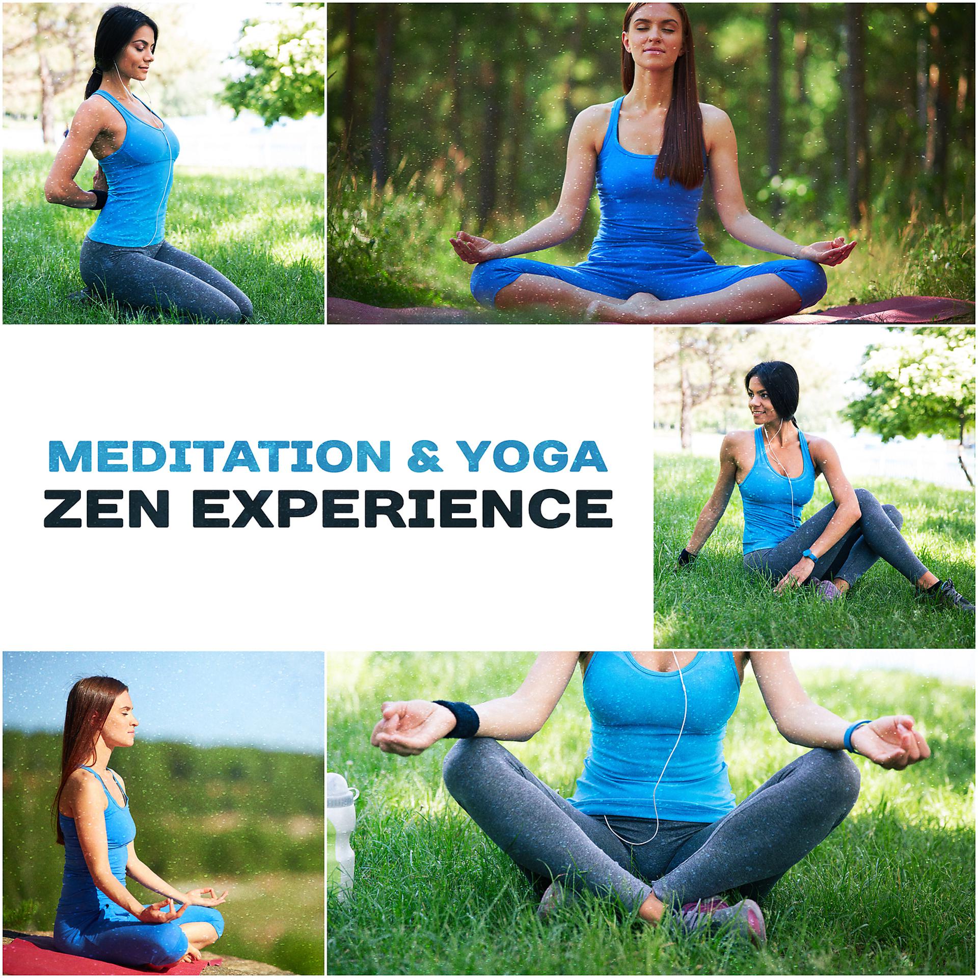 Постер альбома Meditation & Yoga – Zen Experience: 50 Soothing Sounds for Mindfulness Training, Deep Relaxation, Spiritual Healing, Breathing Techniques