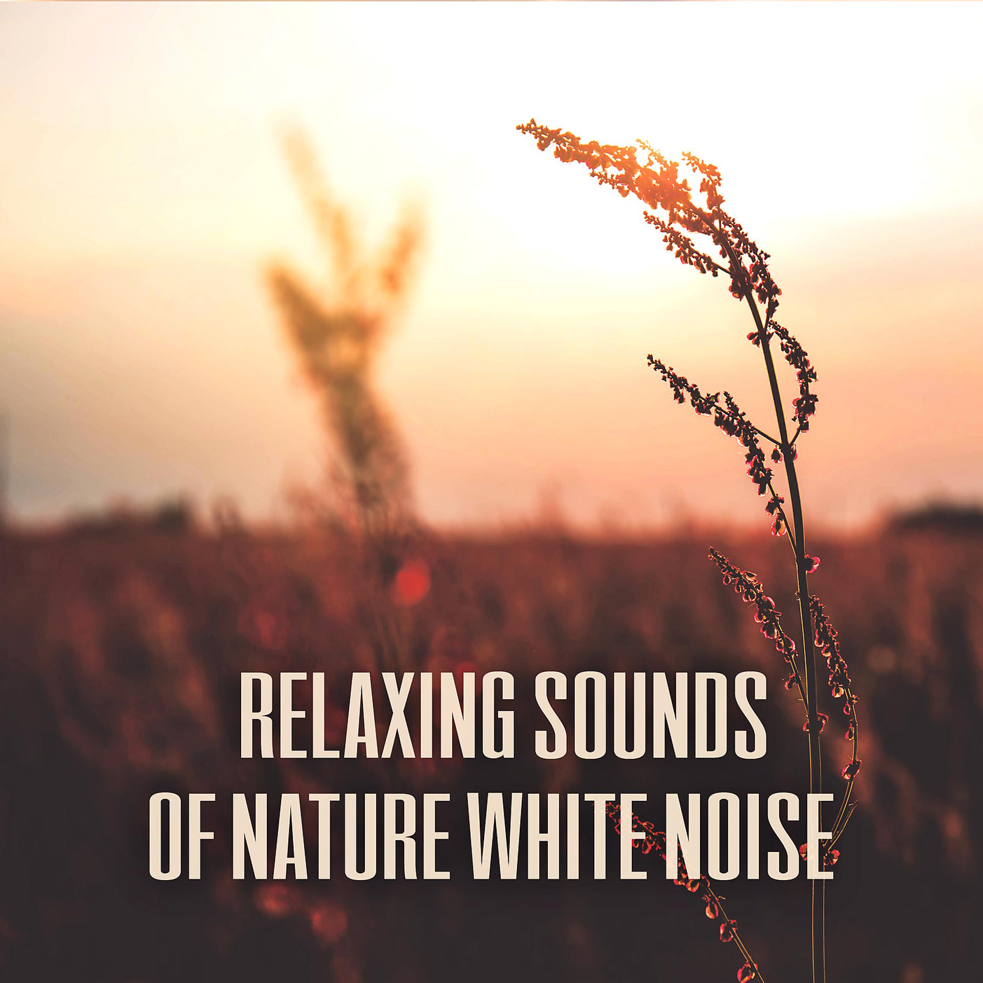 Постер альбома Relaxing Sounds of Nature White Noise – Best Background Music for Sleep, Relaxation, Harmony & Balance, Deep Meditation