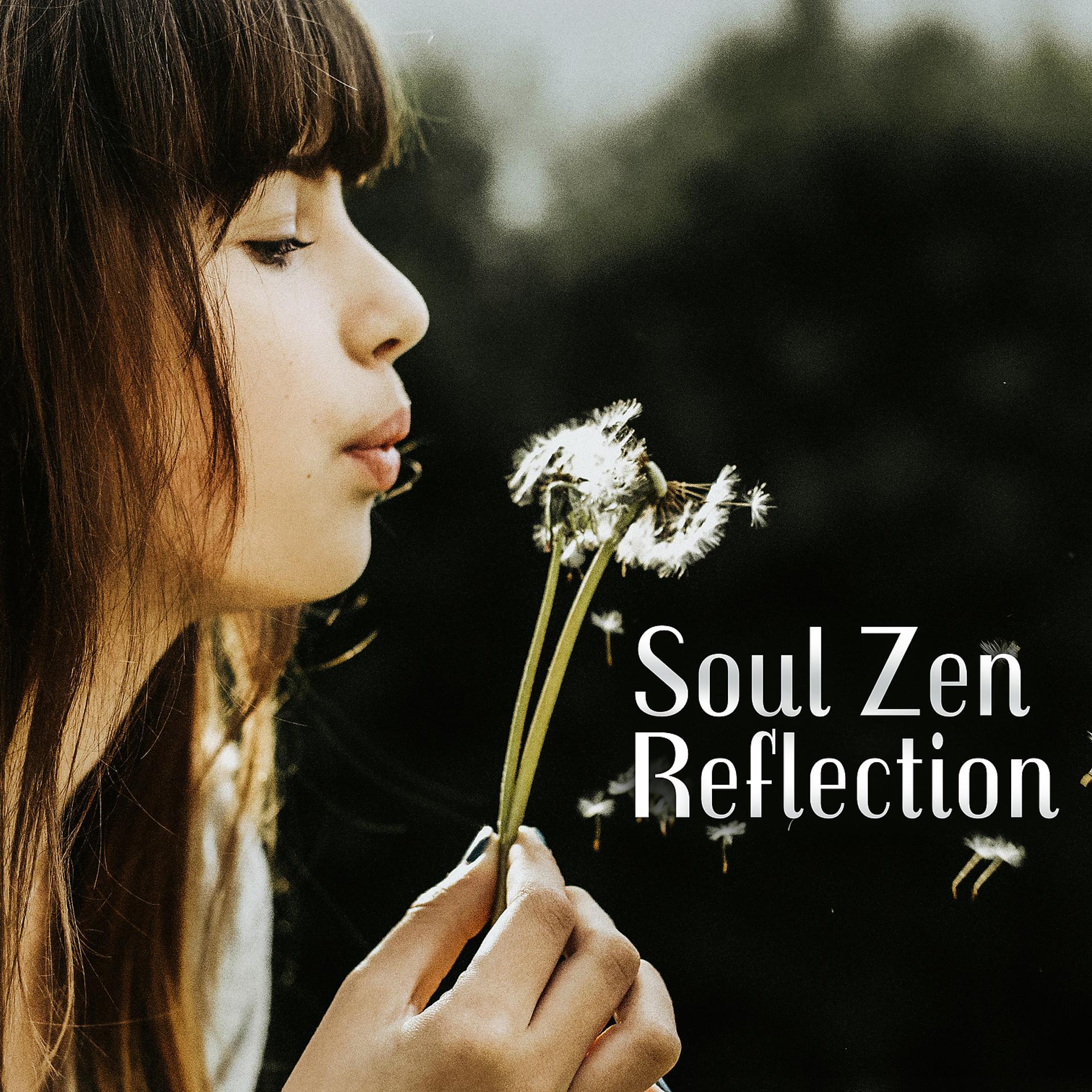 Постер альбома Soul Zen Reflection: The Moment of Clarity and Wisdom