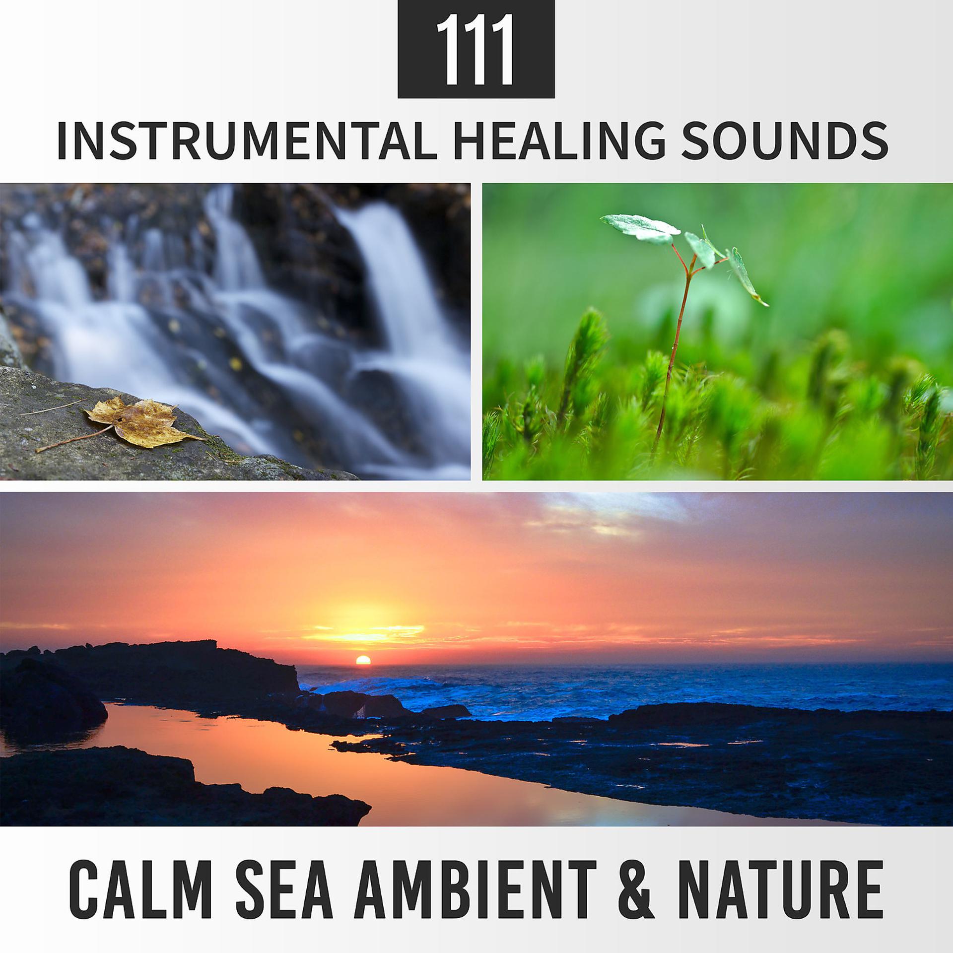 Постер альбома 111 Instrumental Healing Sounds: Calm Sea Ambient & Nature, Pure Relaxation Moods, Spa Music, Zen Therapy, Yoga Balance, Sleep Meditation Training