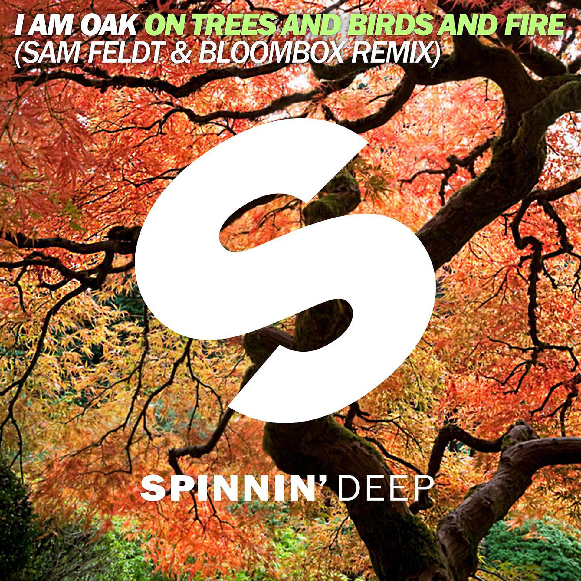 Постер альбома On Trees And Birds And Fire (Sam Feldt & Bloombox Remix)