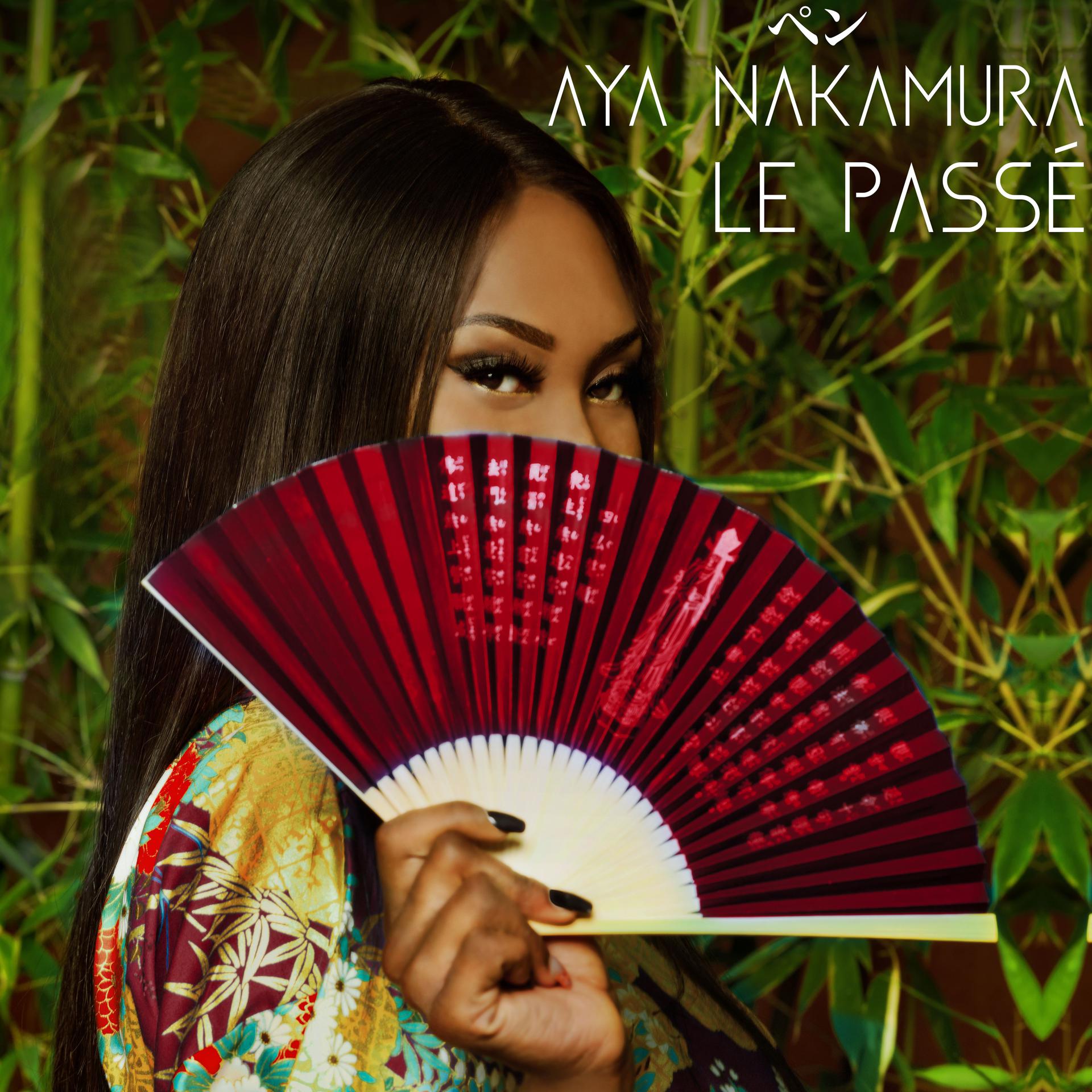 Постер альбома Le passé