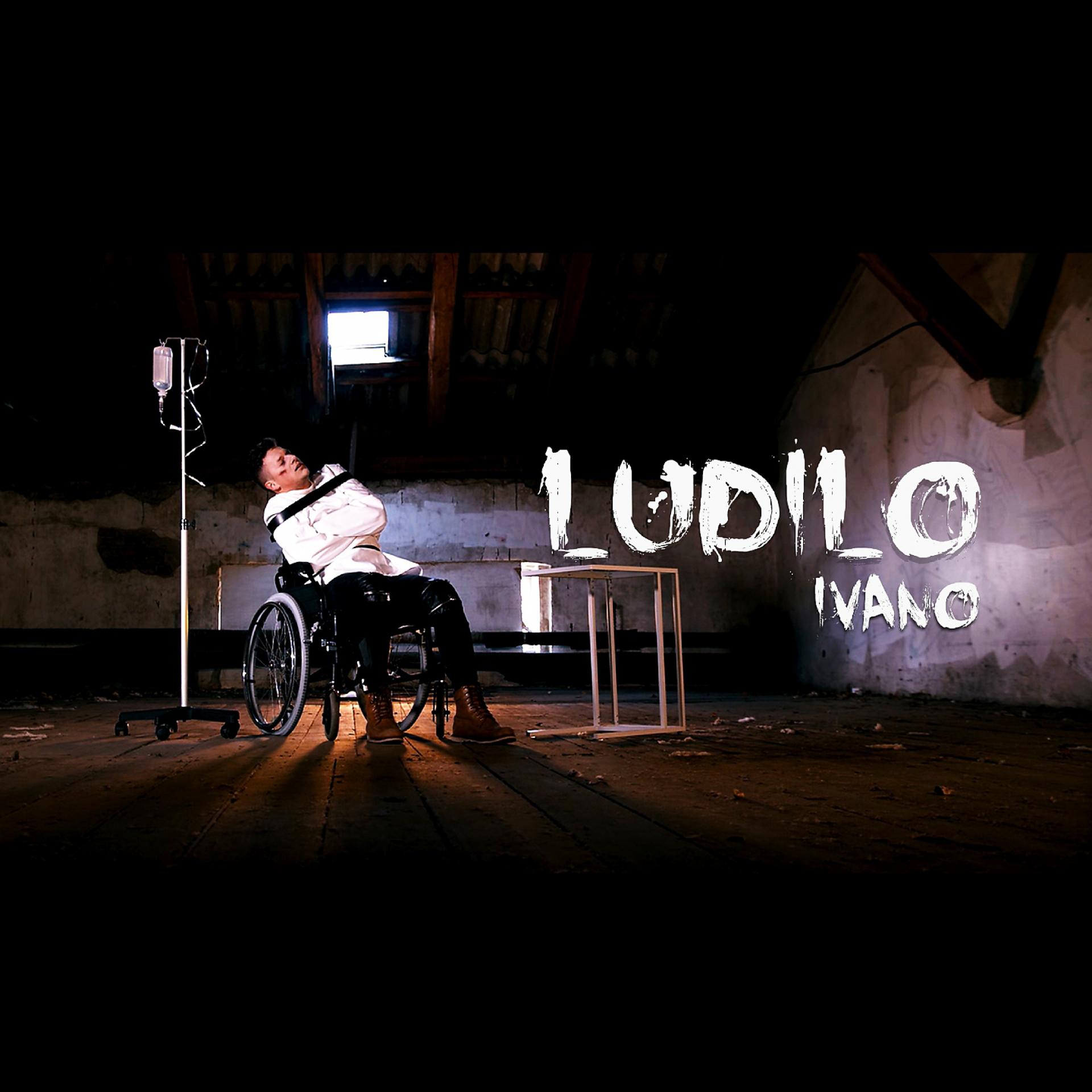 Постер альбома Ludilo