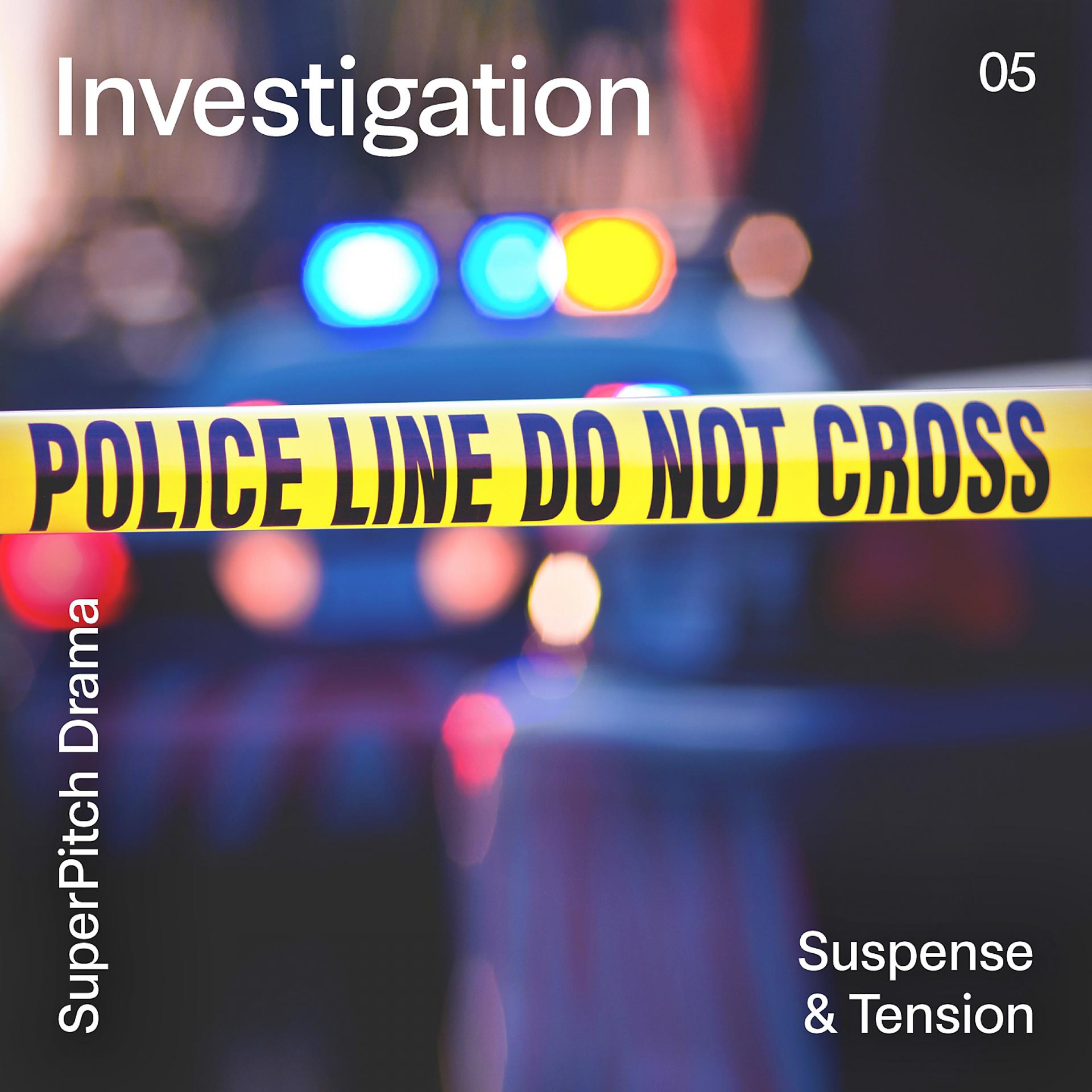 Постер альбома Investigation