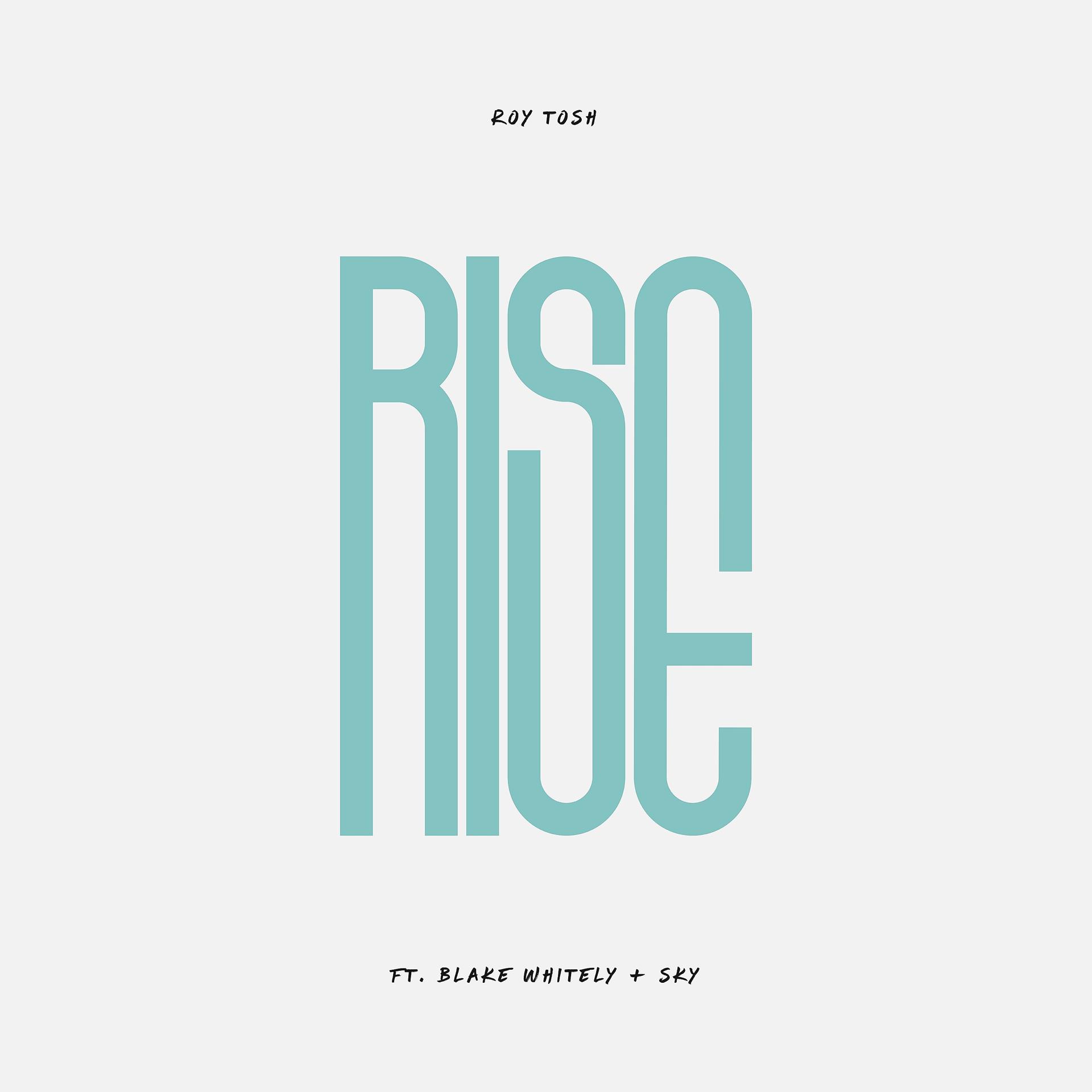 Постер альбома Rise (feat. Blake Whitley & Sky)