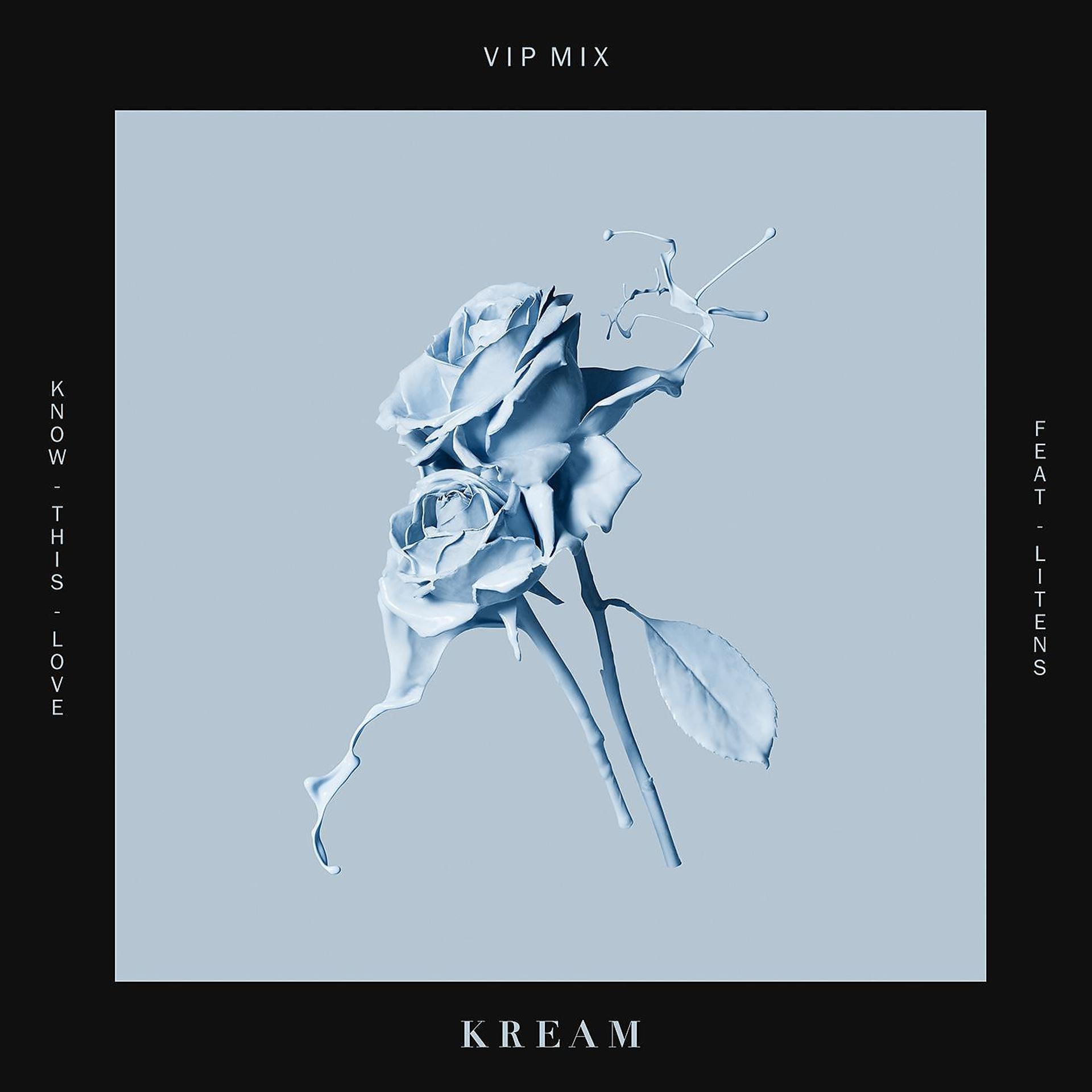 Постер альбома Know This Love (feat. Litens) [VIP Mix]
