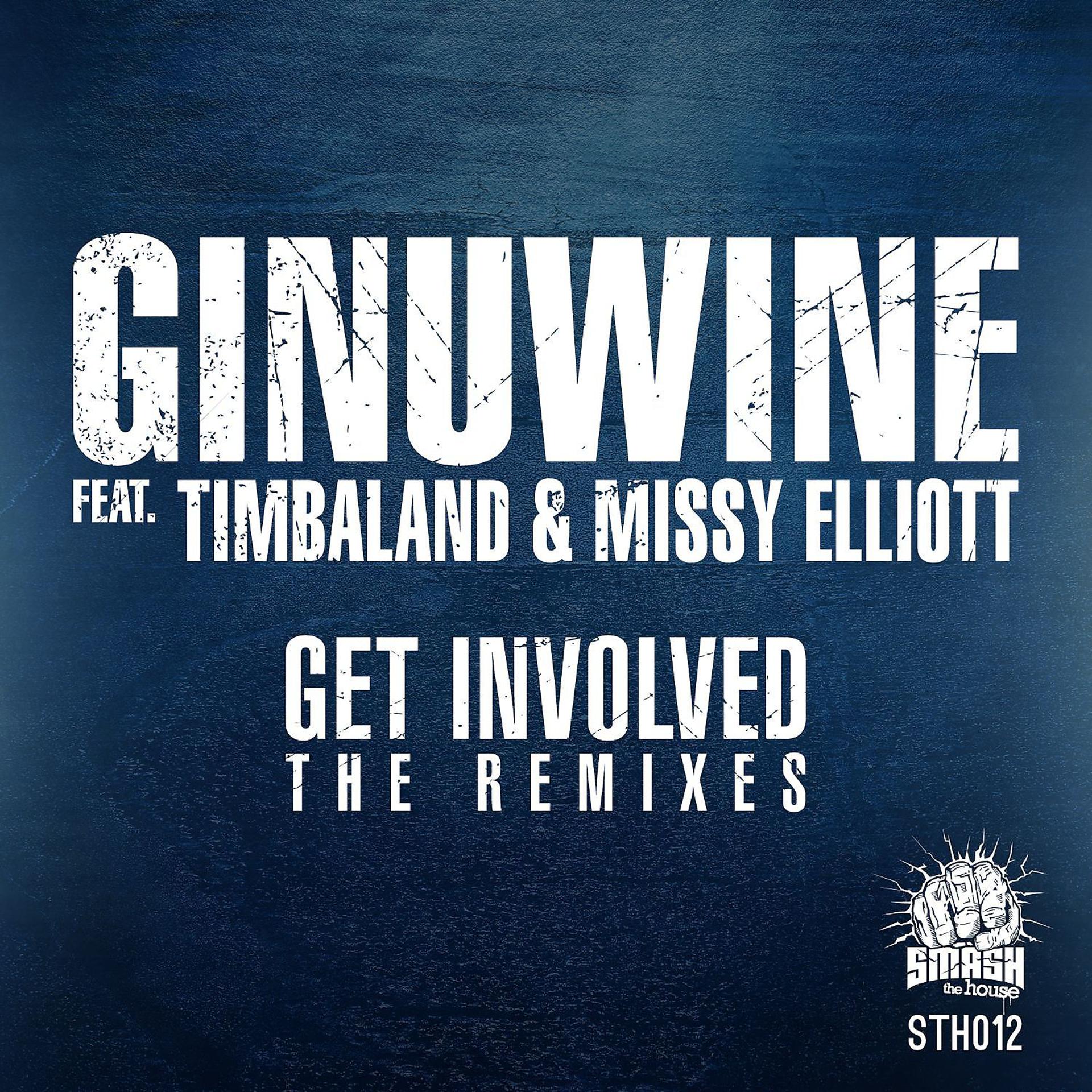 Постер альбома Get Involved (feat. Timbaland & Missy Elliott) [The Remixes]