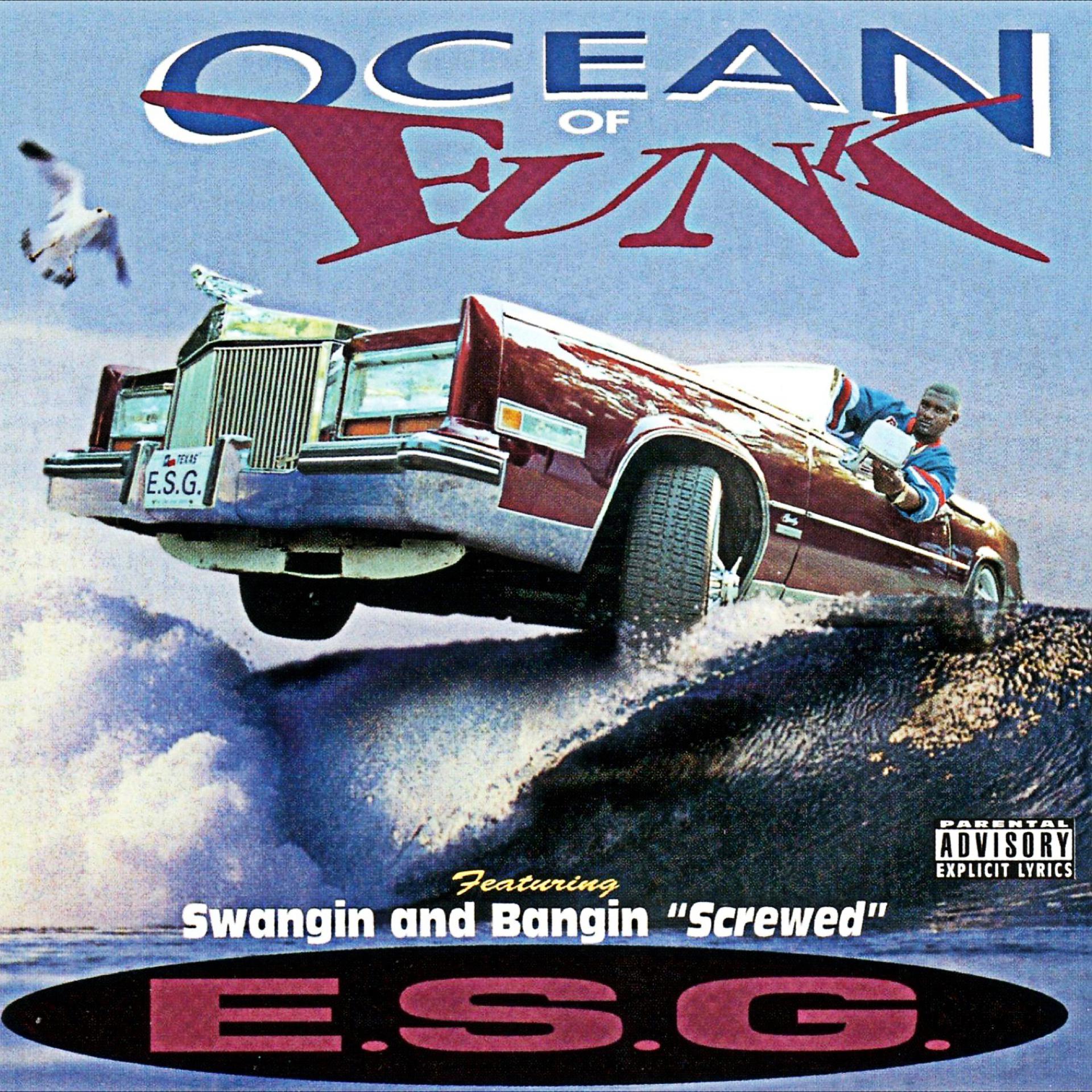 Постер альбома Ocean of Funk