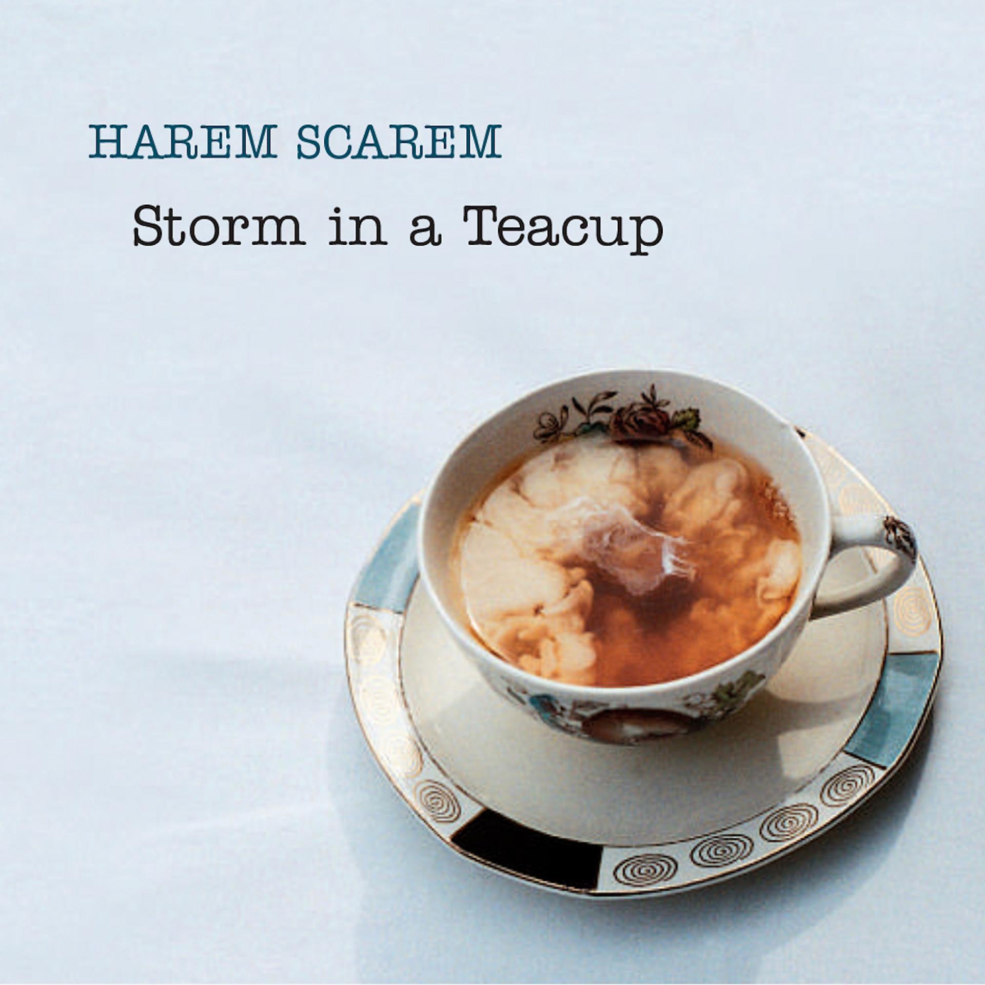 Постер альбома Storm in a Teacup