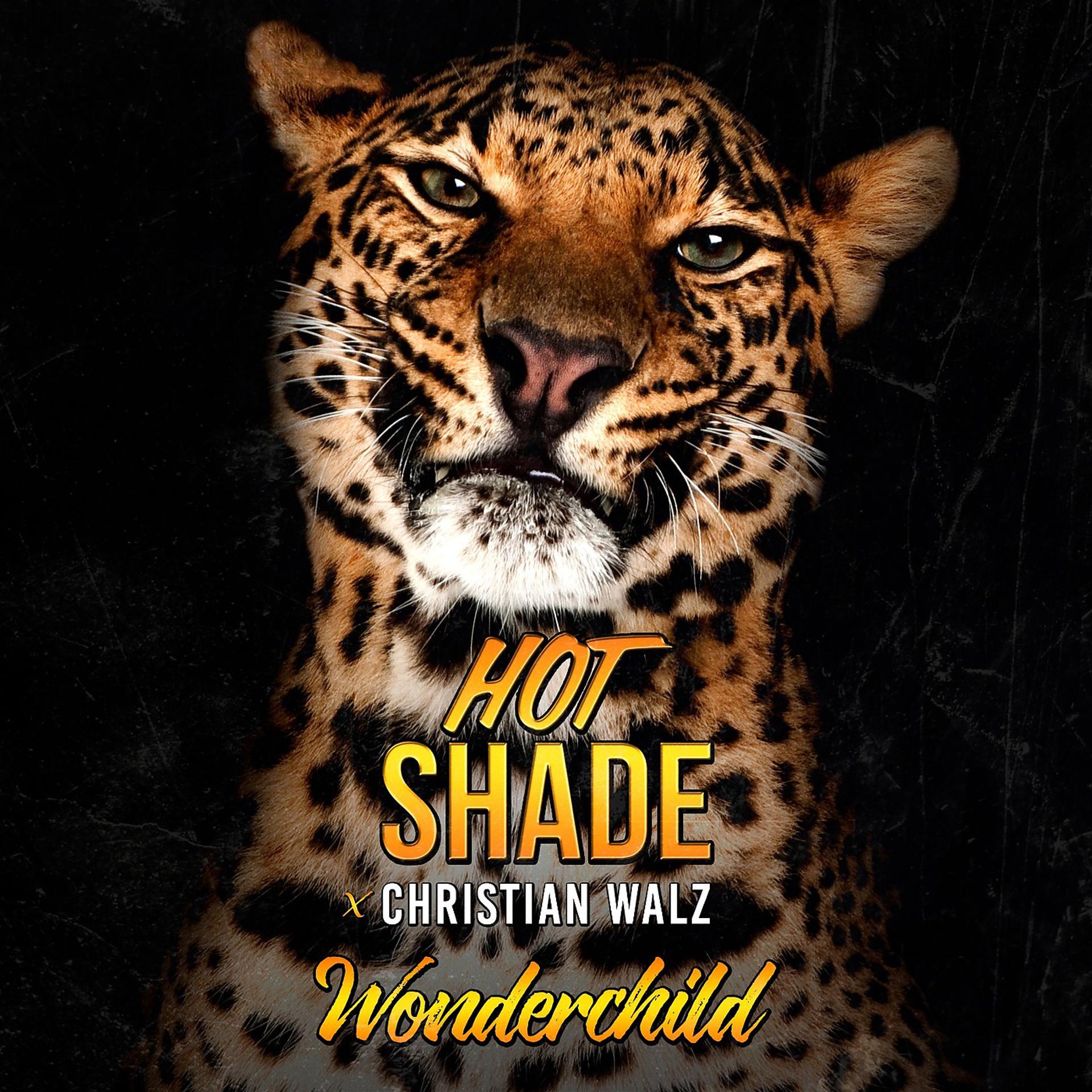 Постер альбома Wonderchild