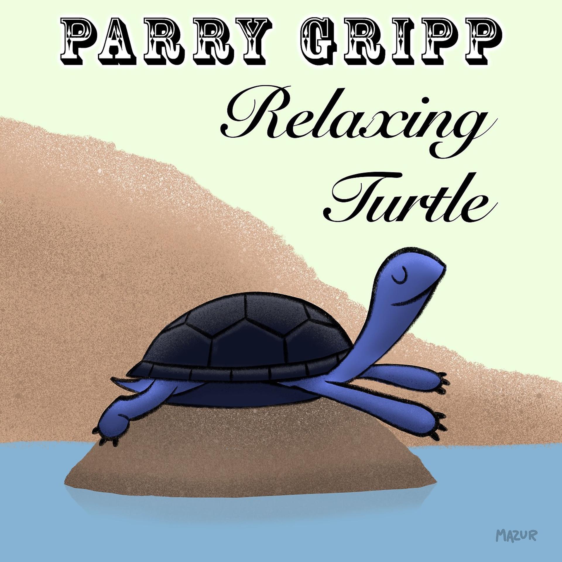 Постер альбома Relaxing Turtle