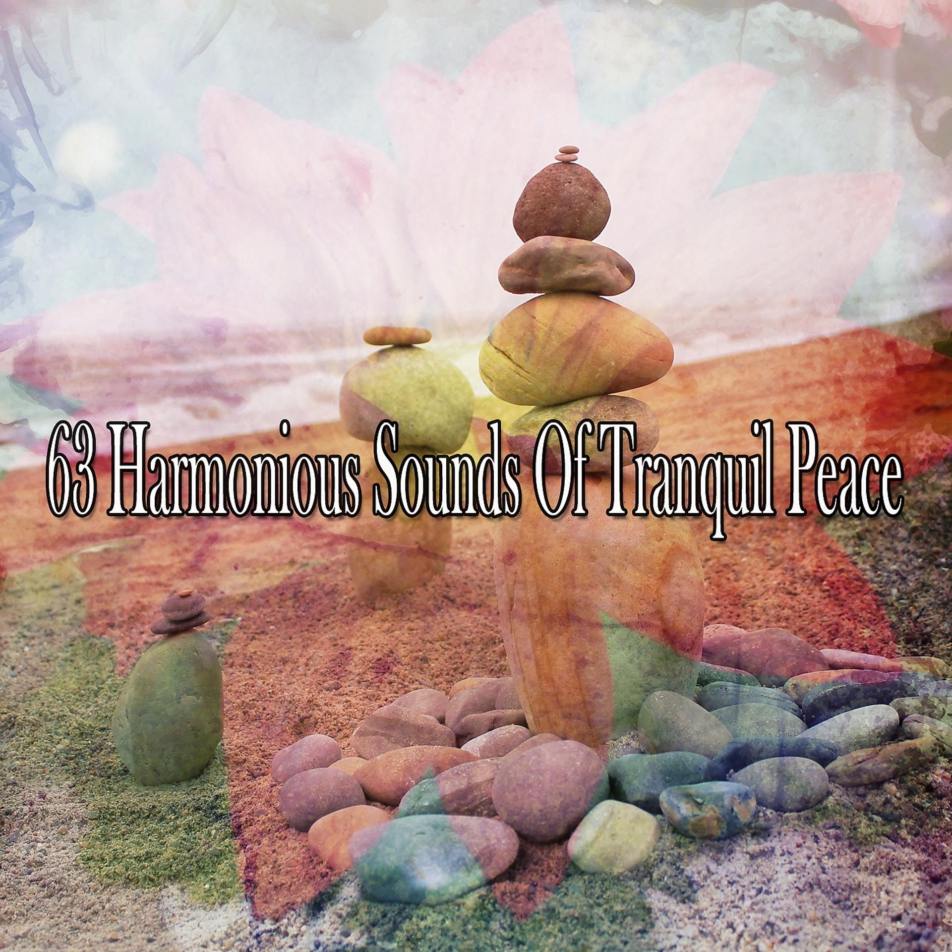 Постер альбома 63 Harmonious Sounds Of Tranquil Peace