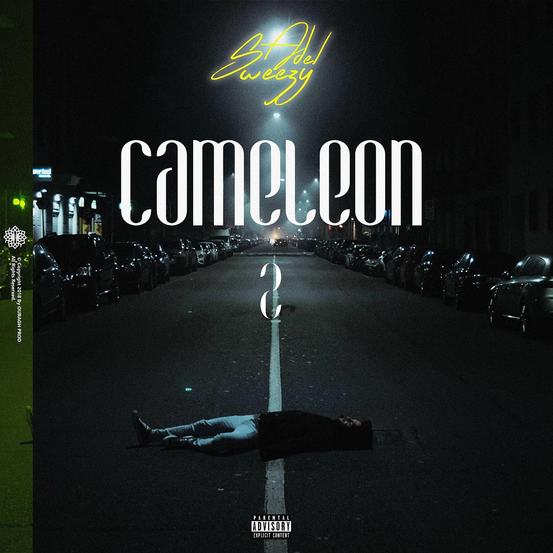 Постер альбома Cameleon 2