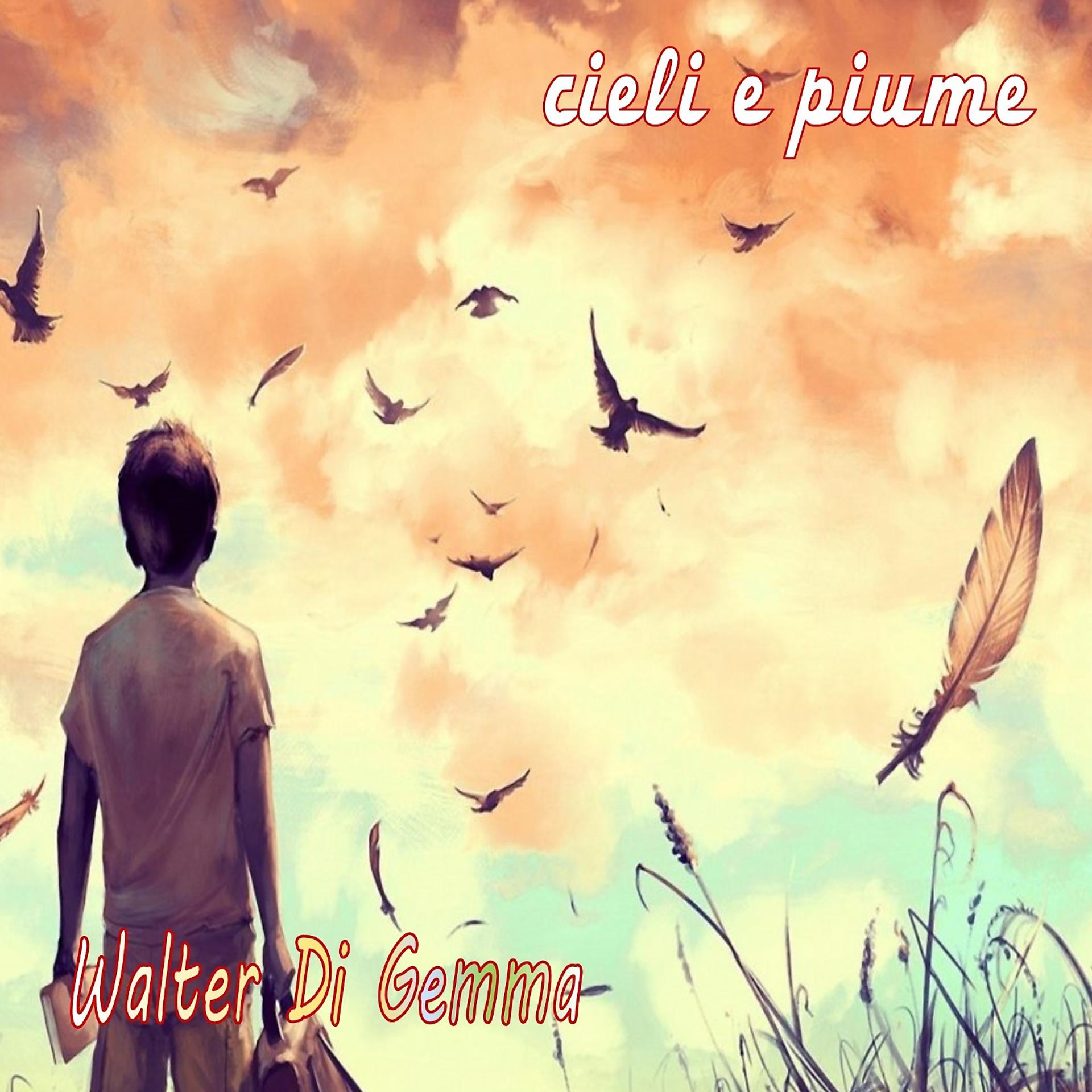 Постер альбома Cieli e piume