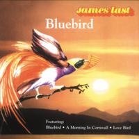 Постер альбома Bluebird