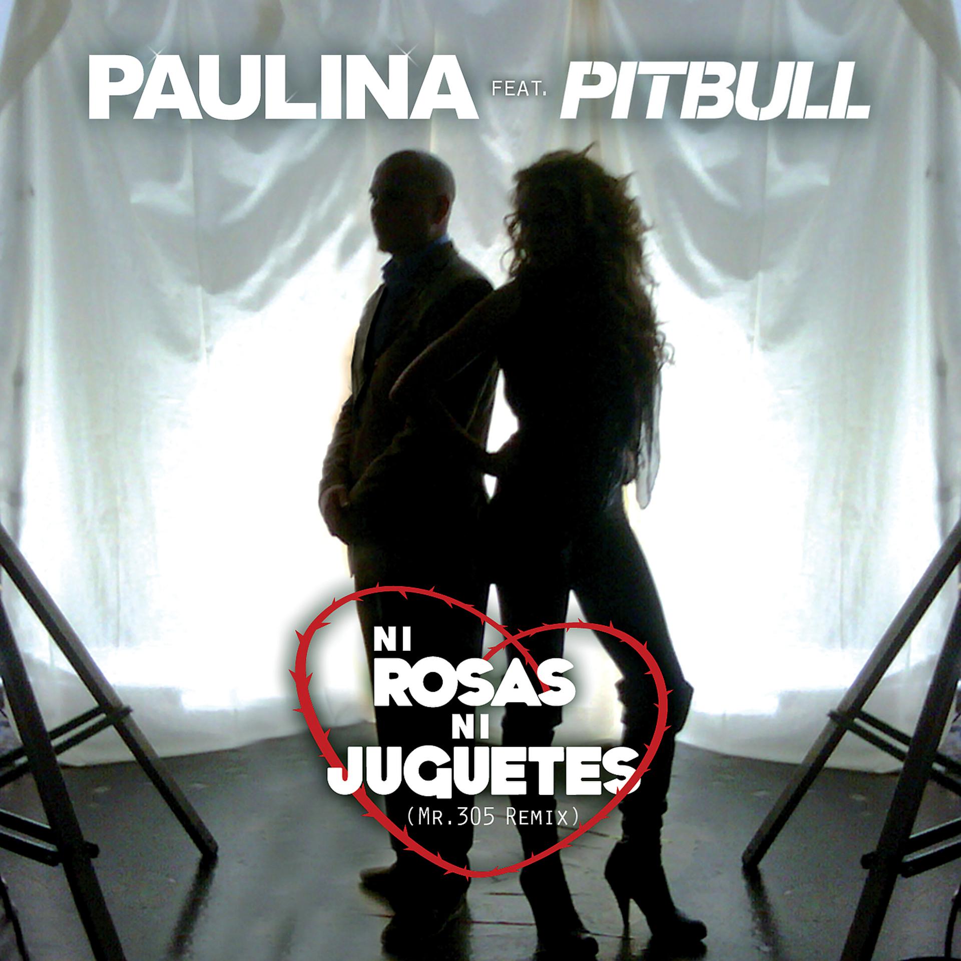 Постер альбома Ni Rosas, Ni Juguetes