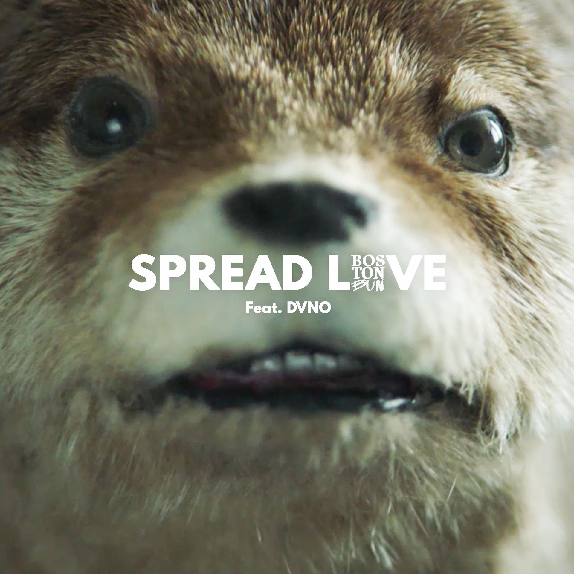 Постер альбома Spread Love (Paddington) [feat. DVNO]