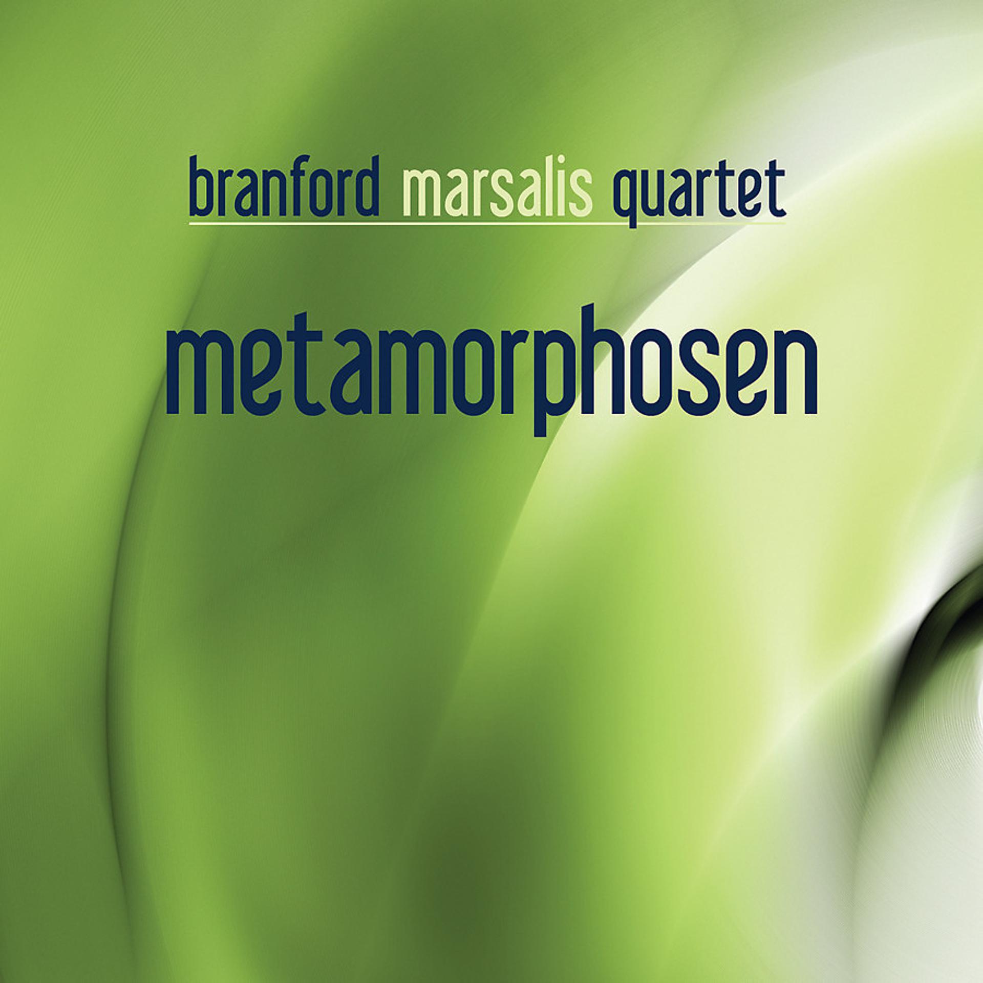 Постер альбома Metamorphosen