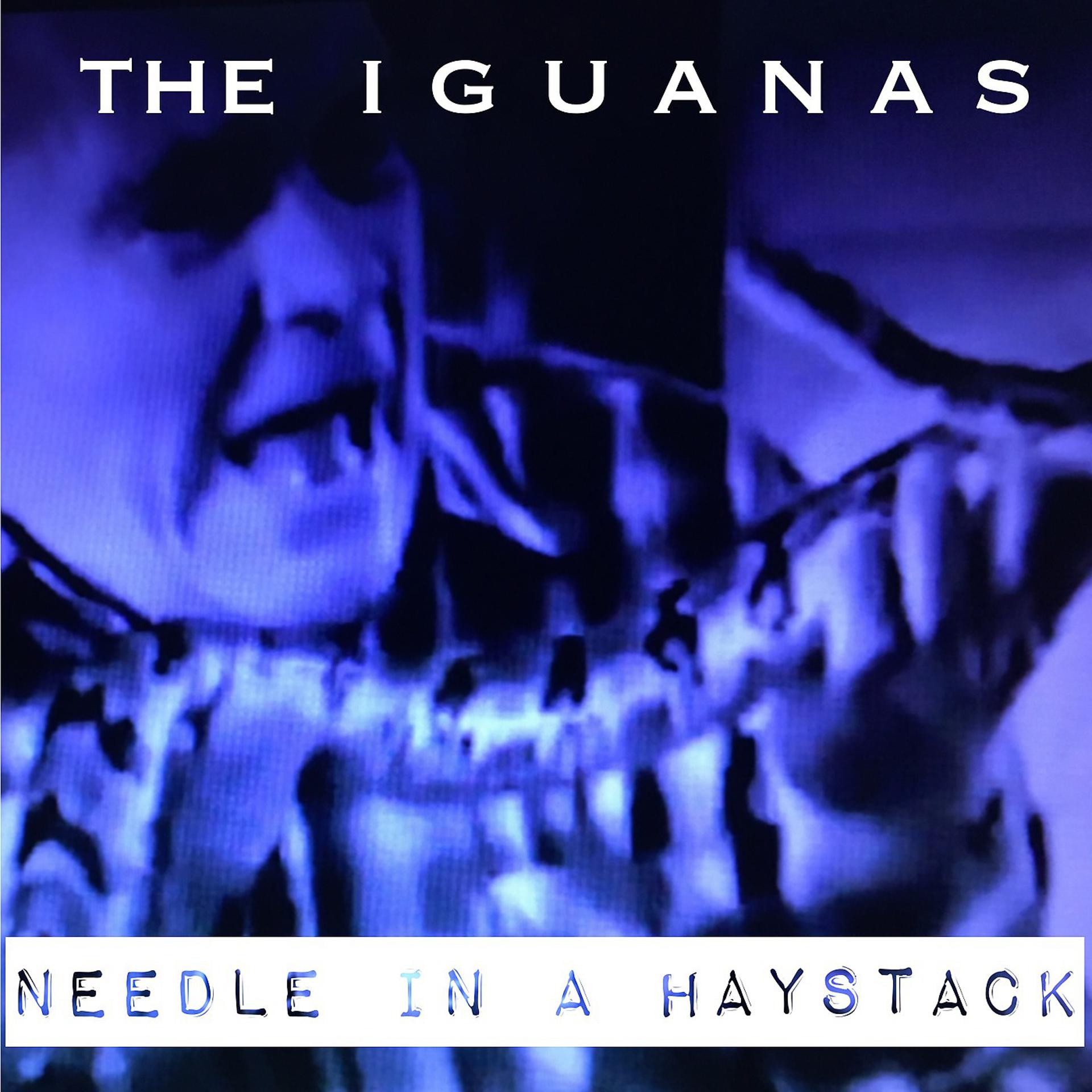 Постер альбома Needle in a Haystack