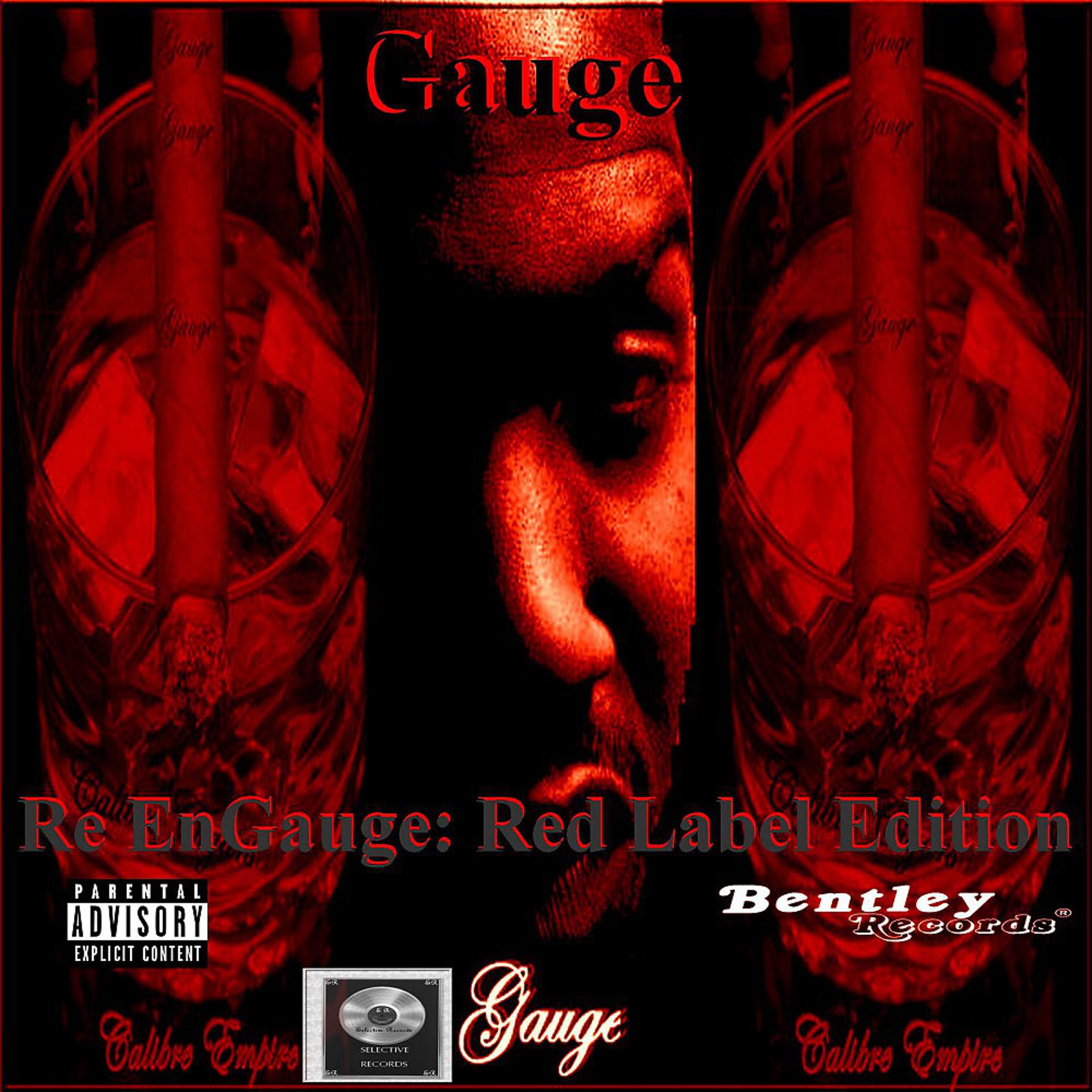 Постер альбома Re Engauge (Red Label Edition)