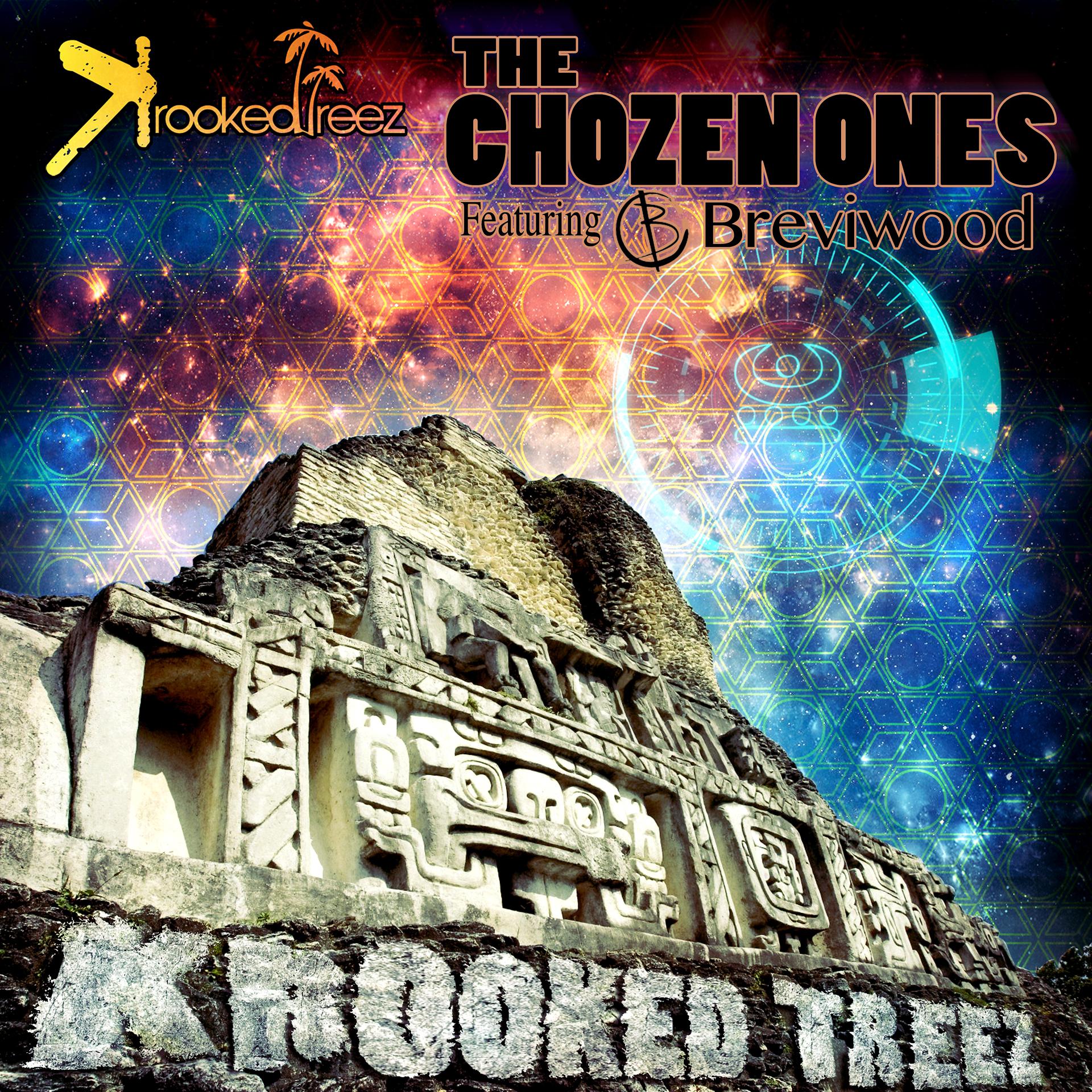 Постер альбома The Chozen Ones (feat. Breviwood)