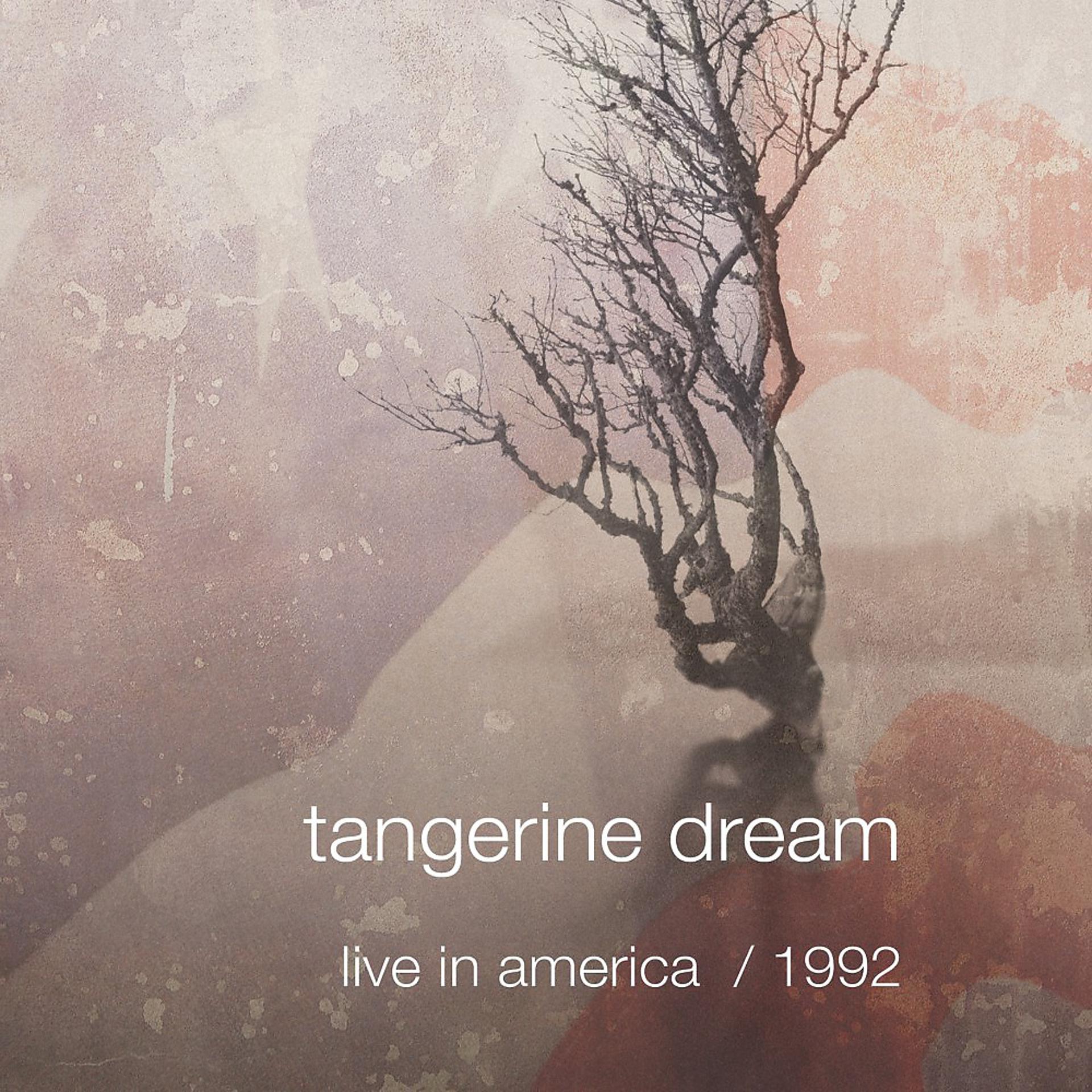 Постер альбома Live in America / 1992